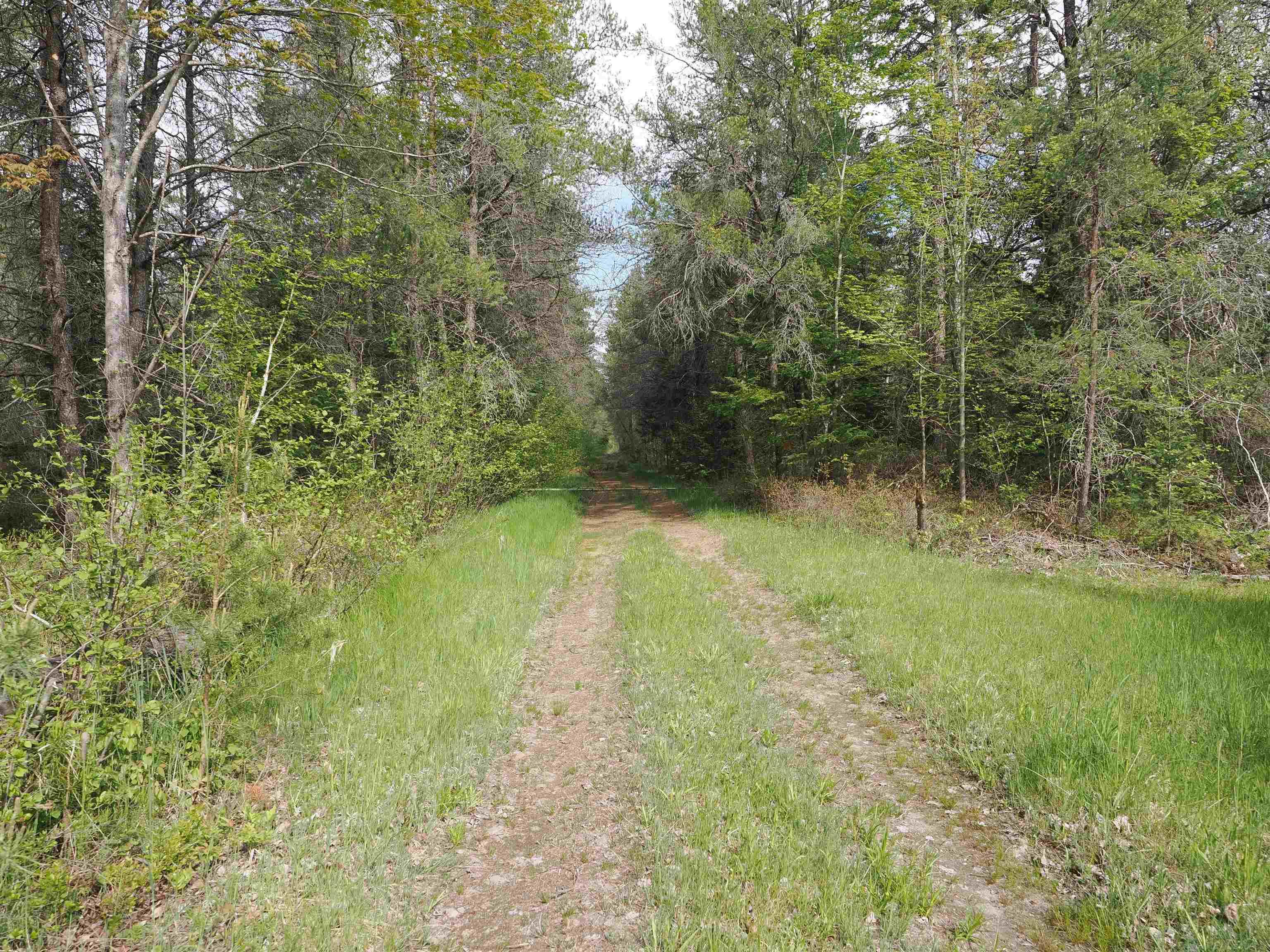 4011 Sandall Road Property Photo 89