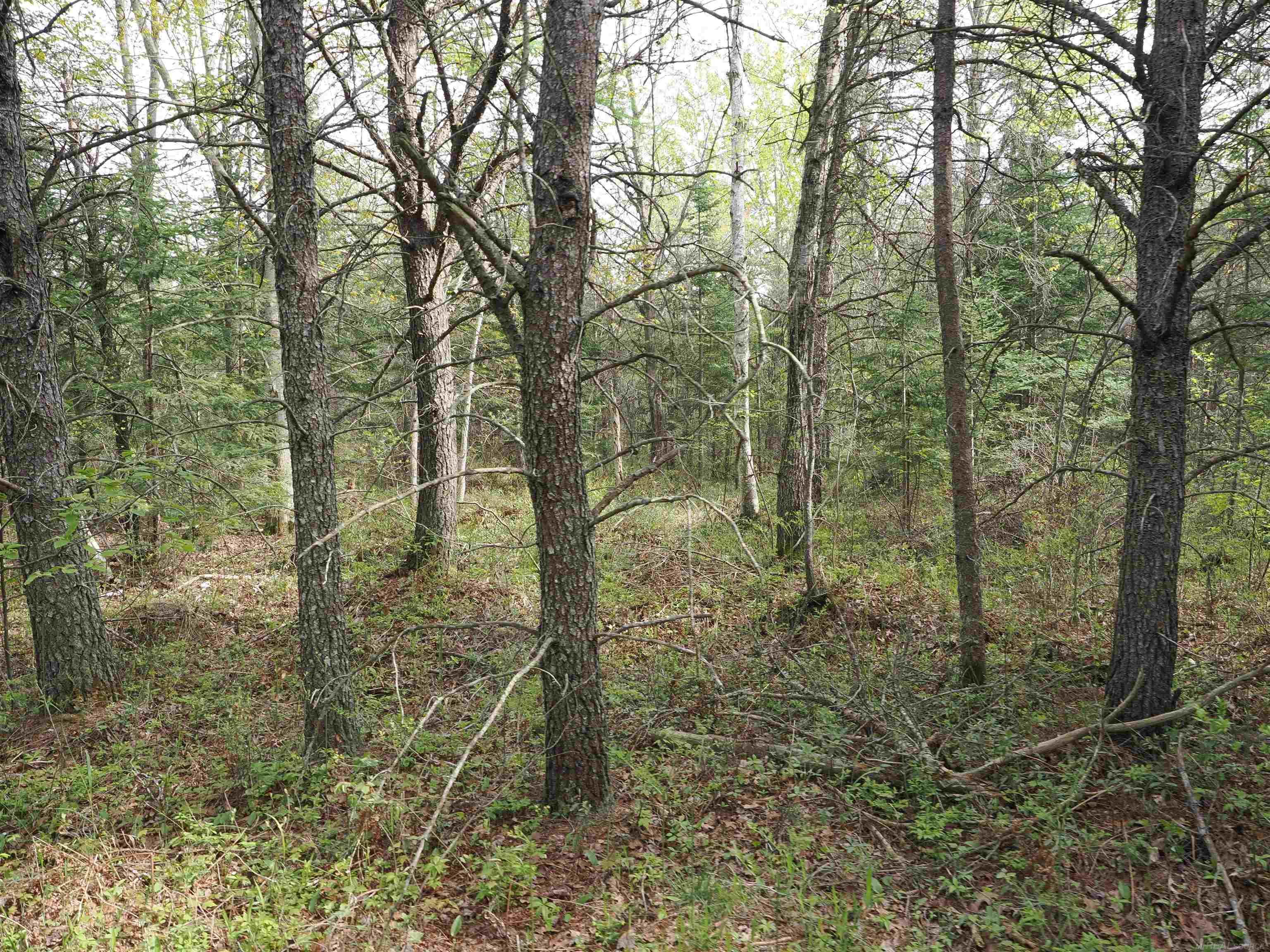 4011 Sandall Road Property Photo 90