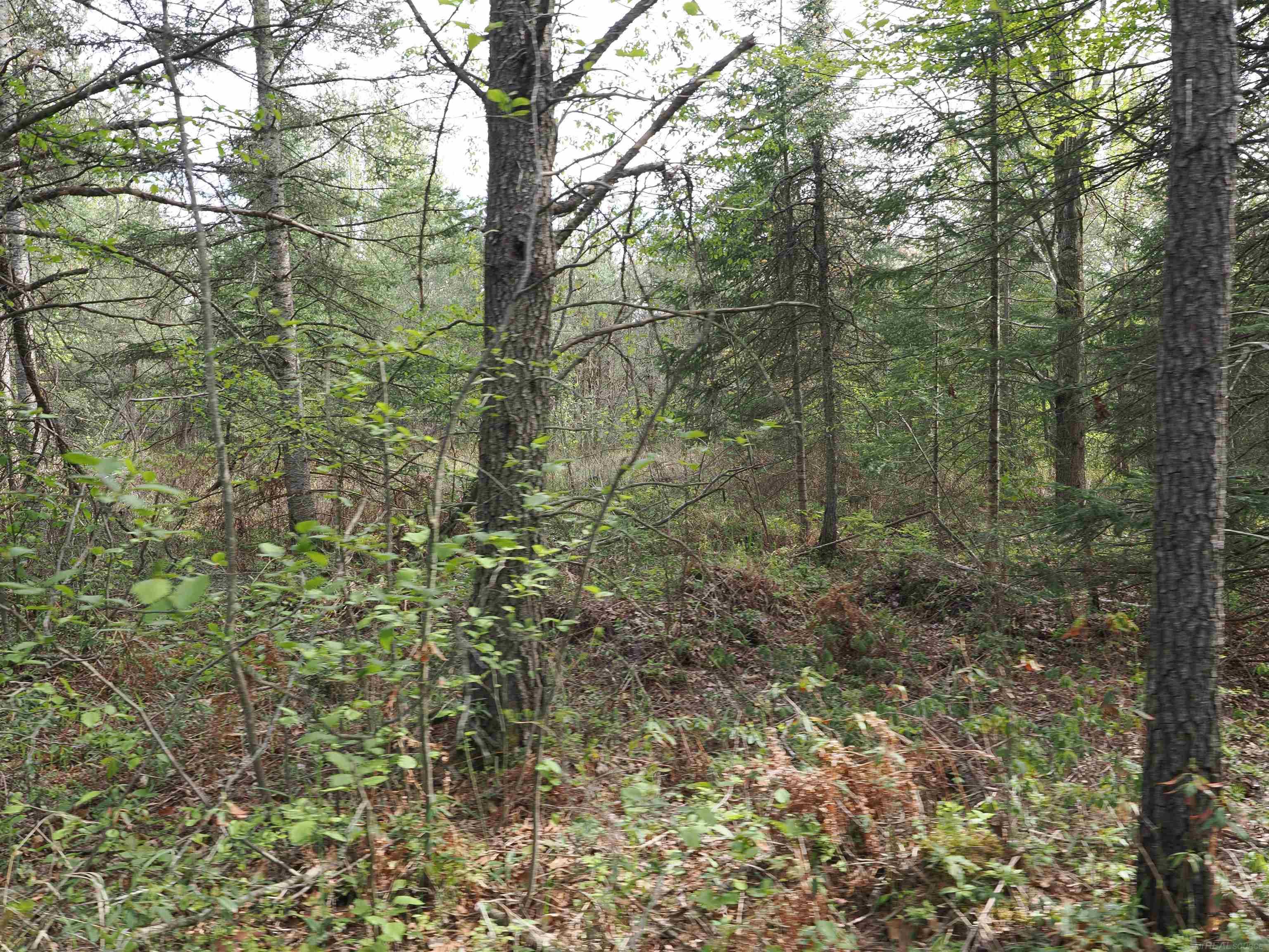4011 Sandall Road Property Photo 91