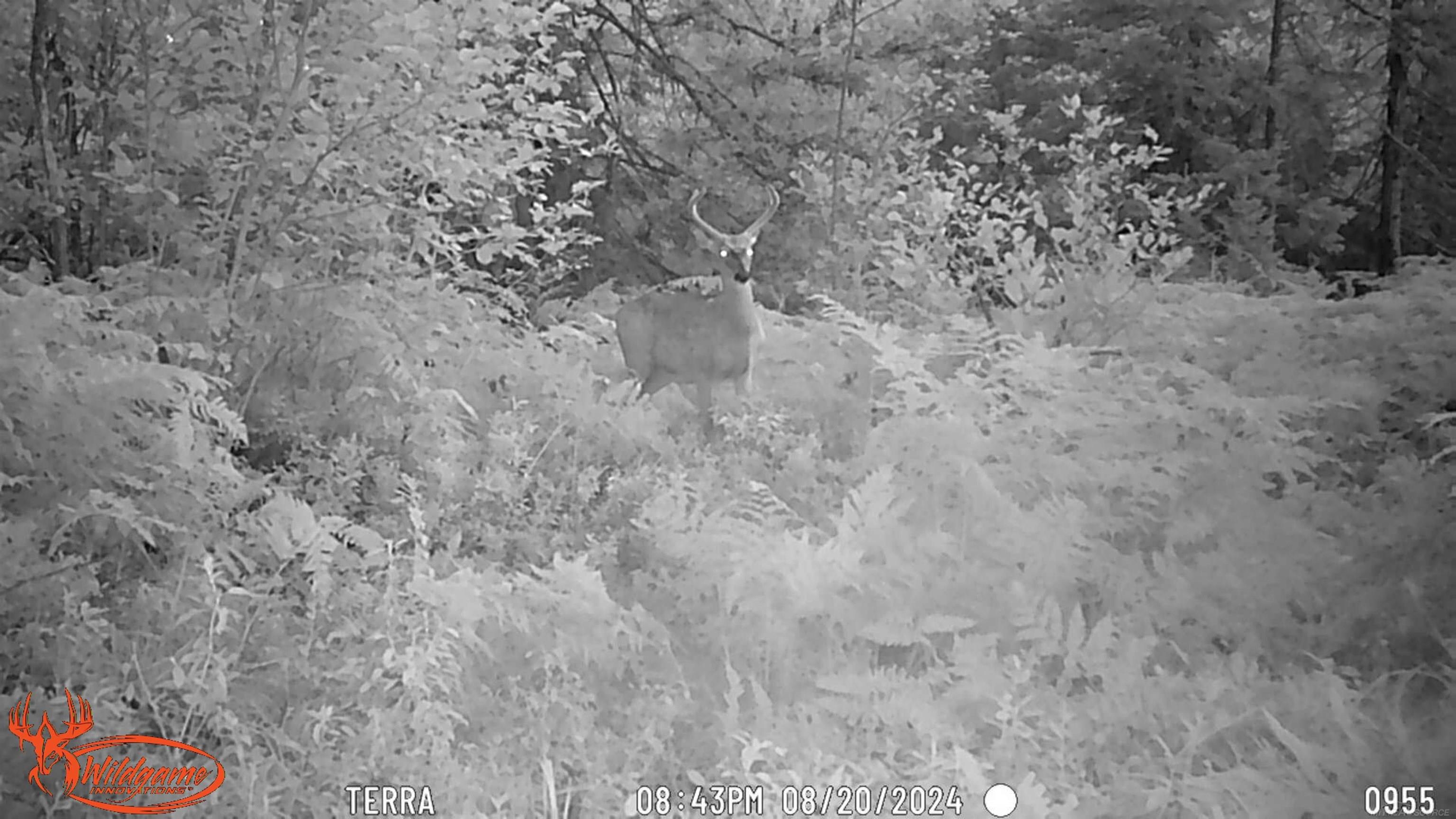4011 Sandall Road Property Photo 93