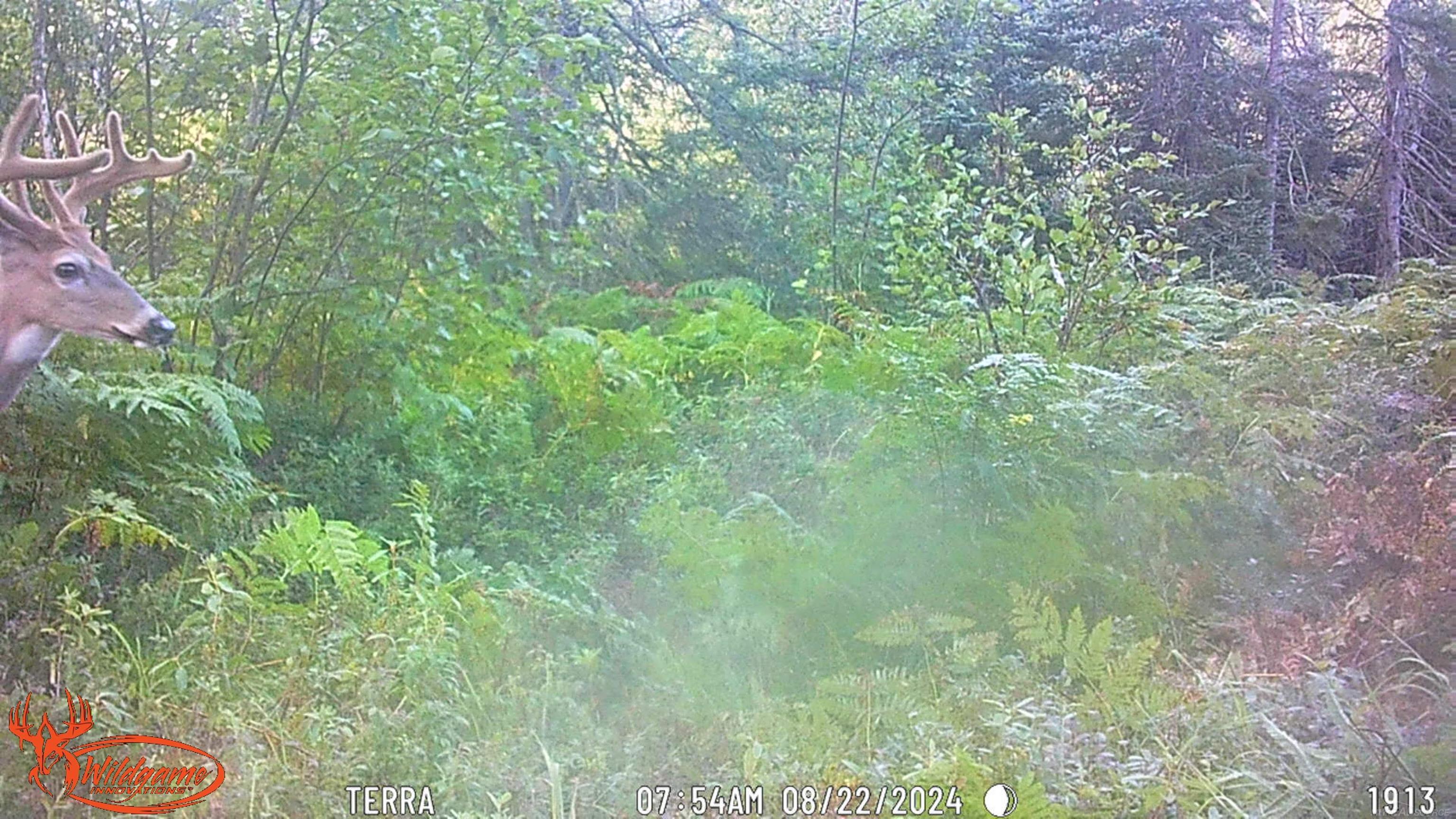 4011 Sandall Road Property Photo 94