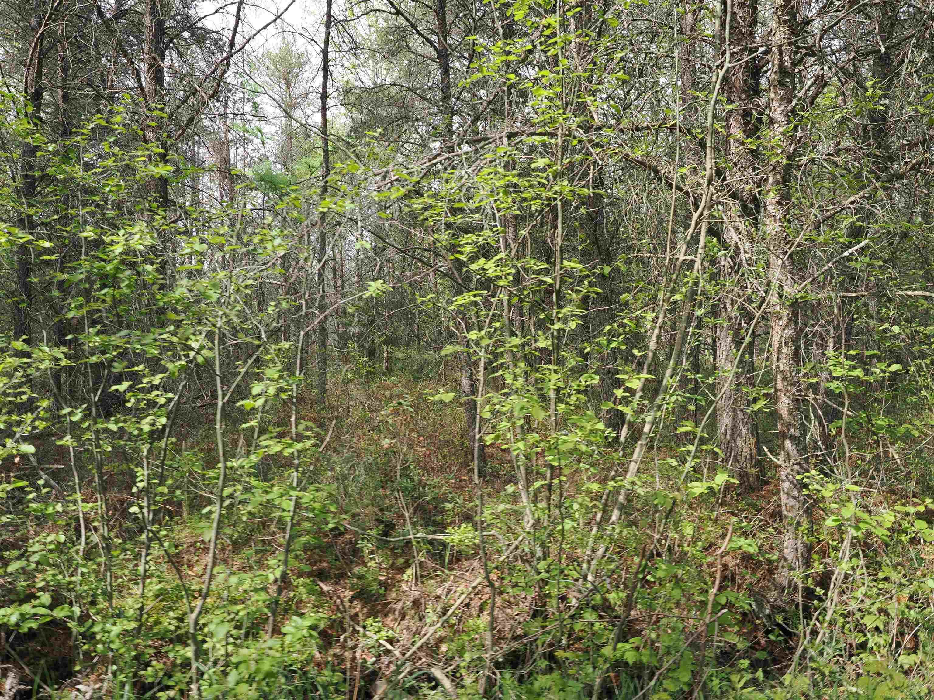 4011 Sandall Road Property Photo 98