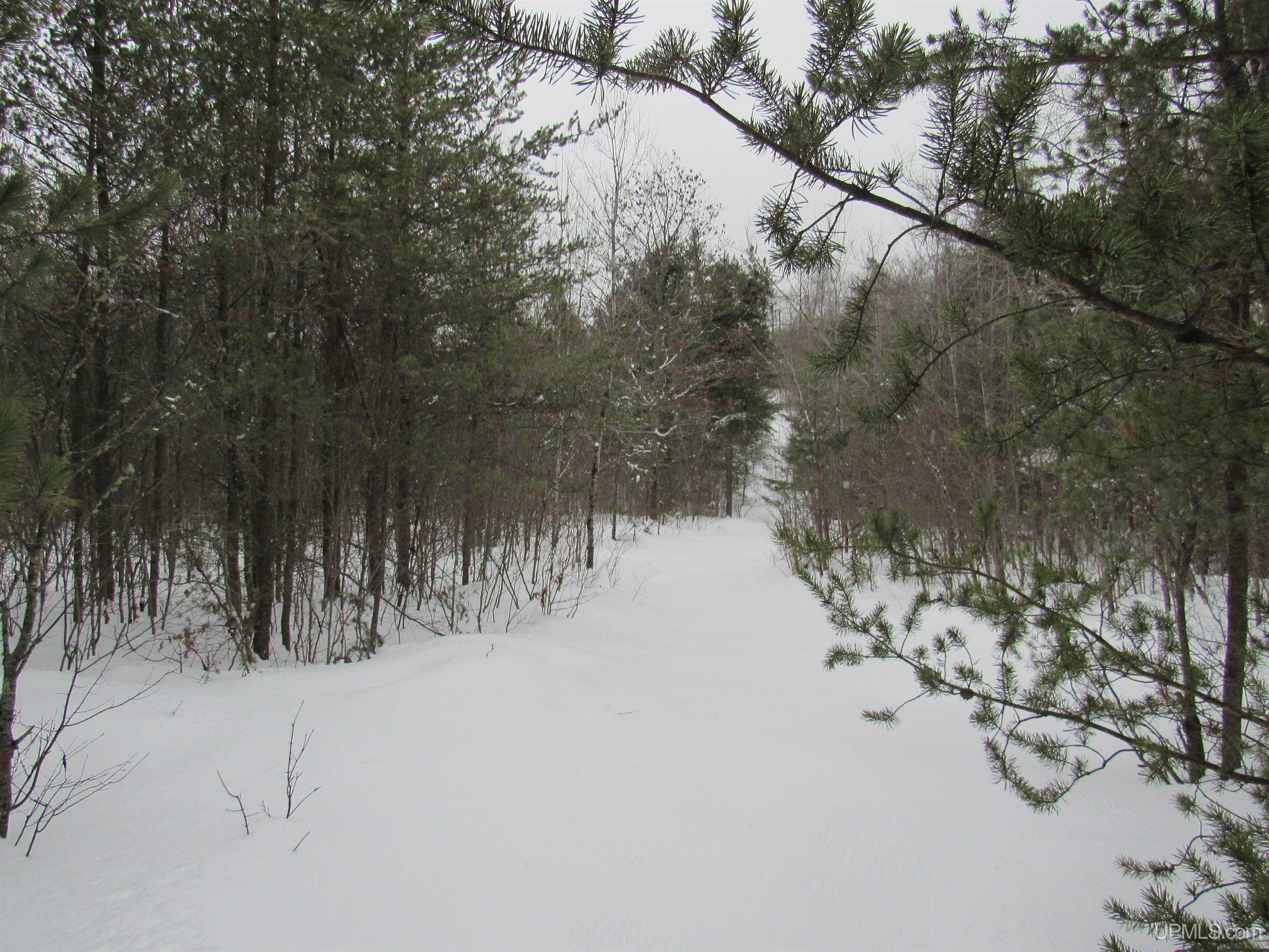 Tbd Ffr 2127k Road Property Photo 2