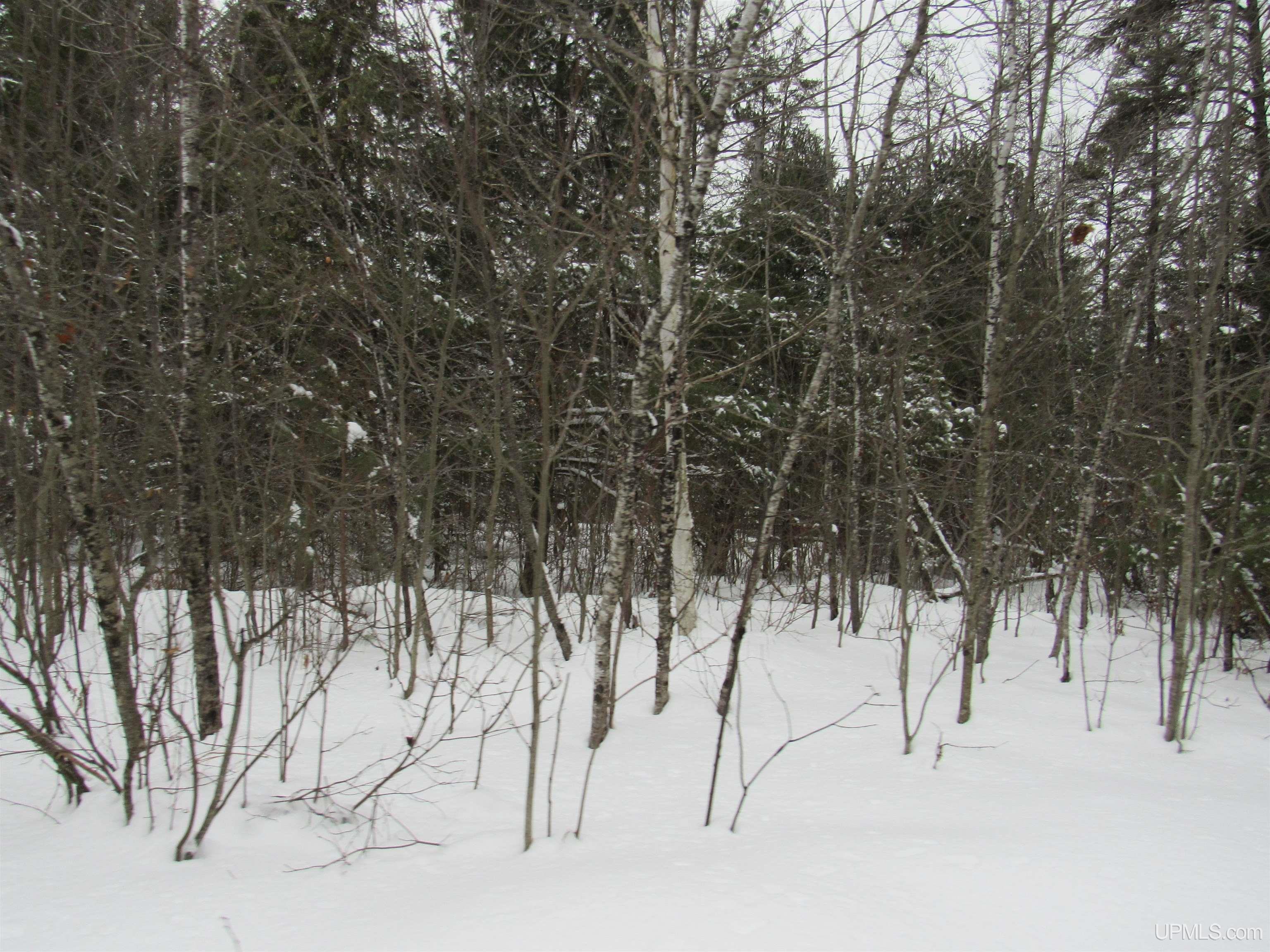 Tbd Ffr 2127k Road Property Photo 3