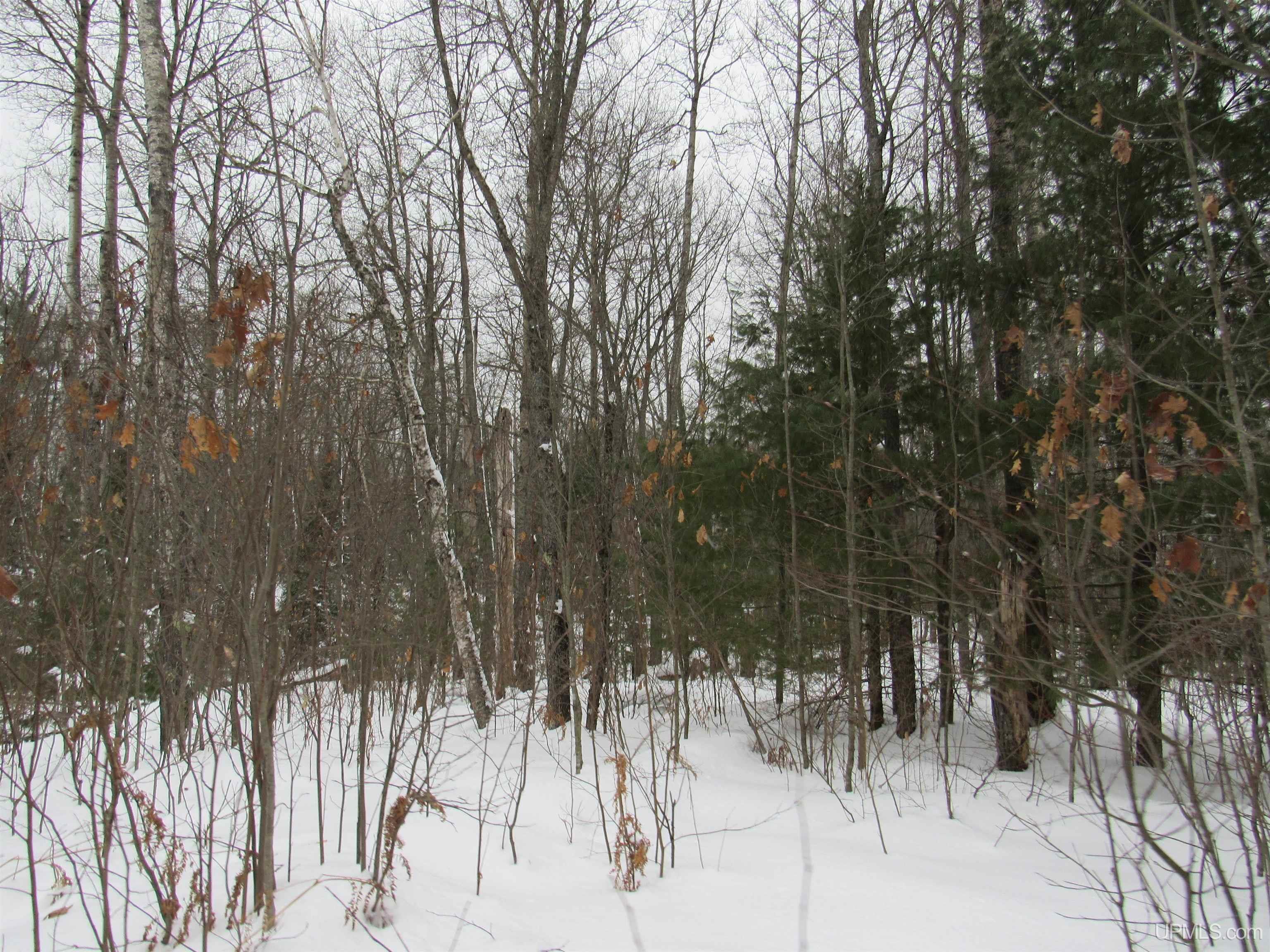 Tbd Ffr 2127k Road Property Photo 4
