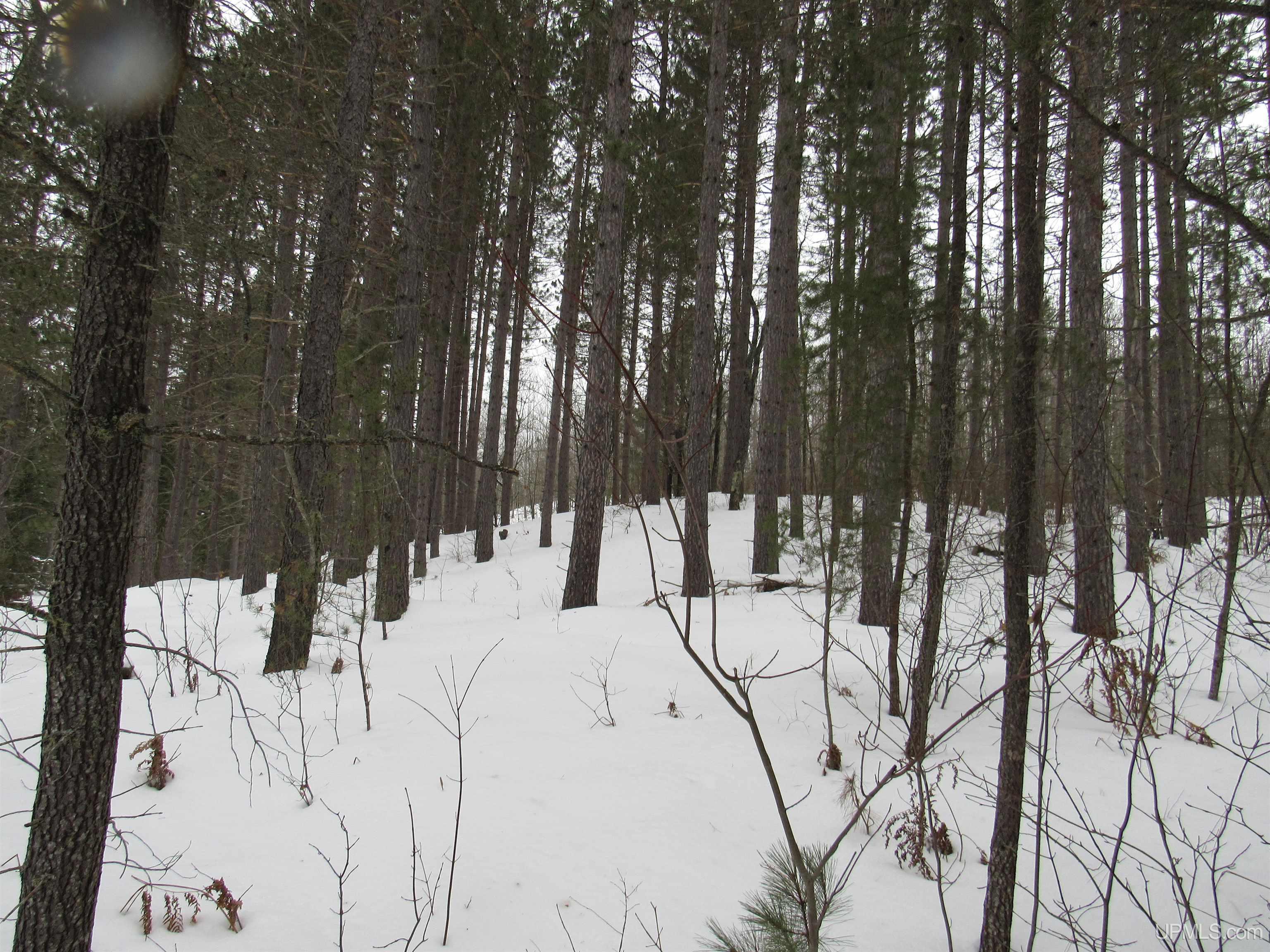 Tbd Ffr 2127k Road Property Photo 8