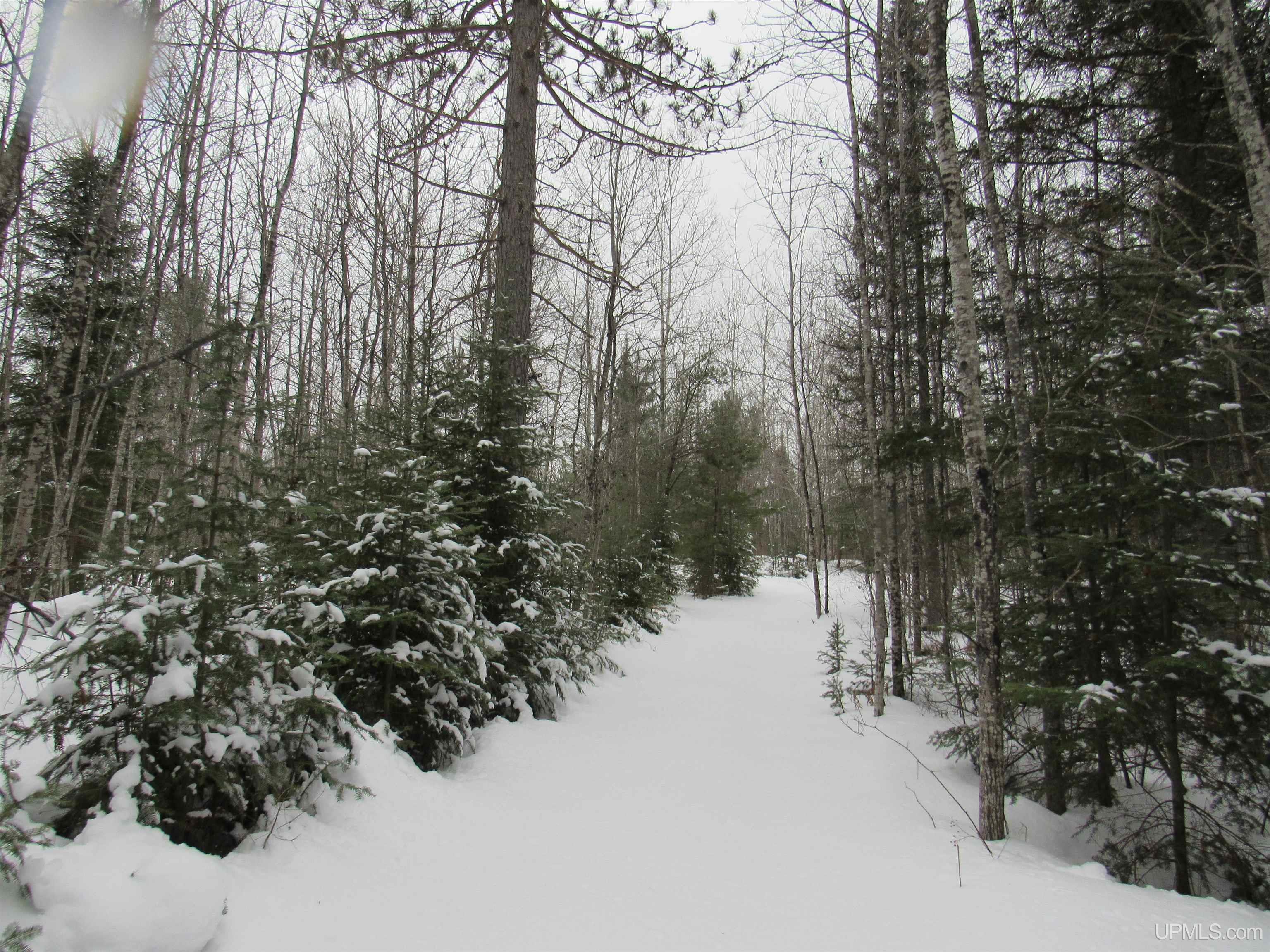Tbd Ffr 2127k Road Property Photo 12