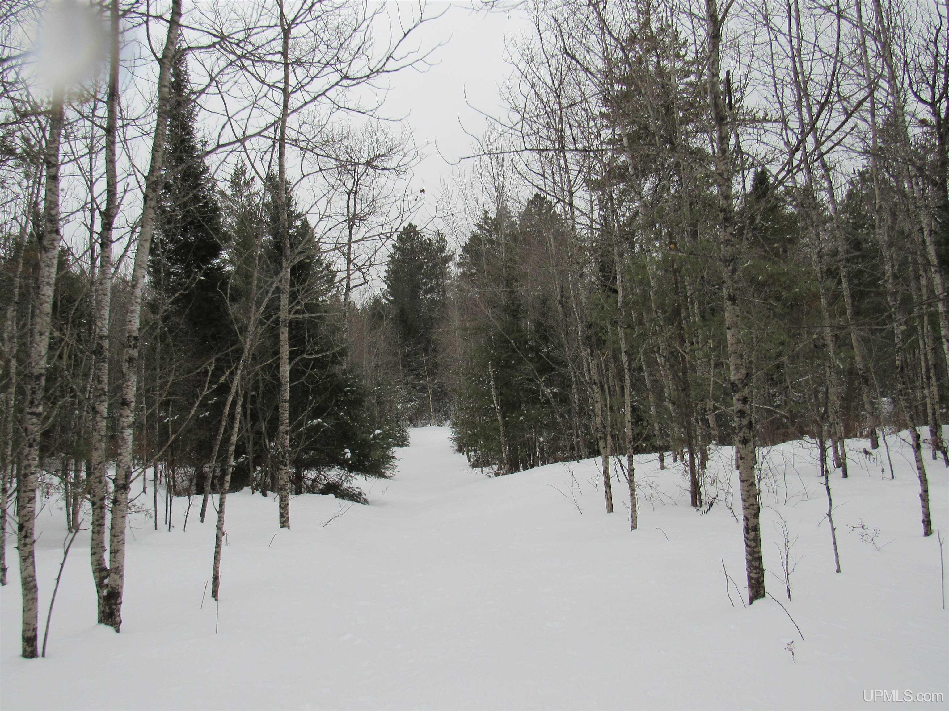 Tbd Ffr 2127k Road Property Photo 14