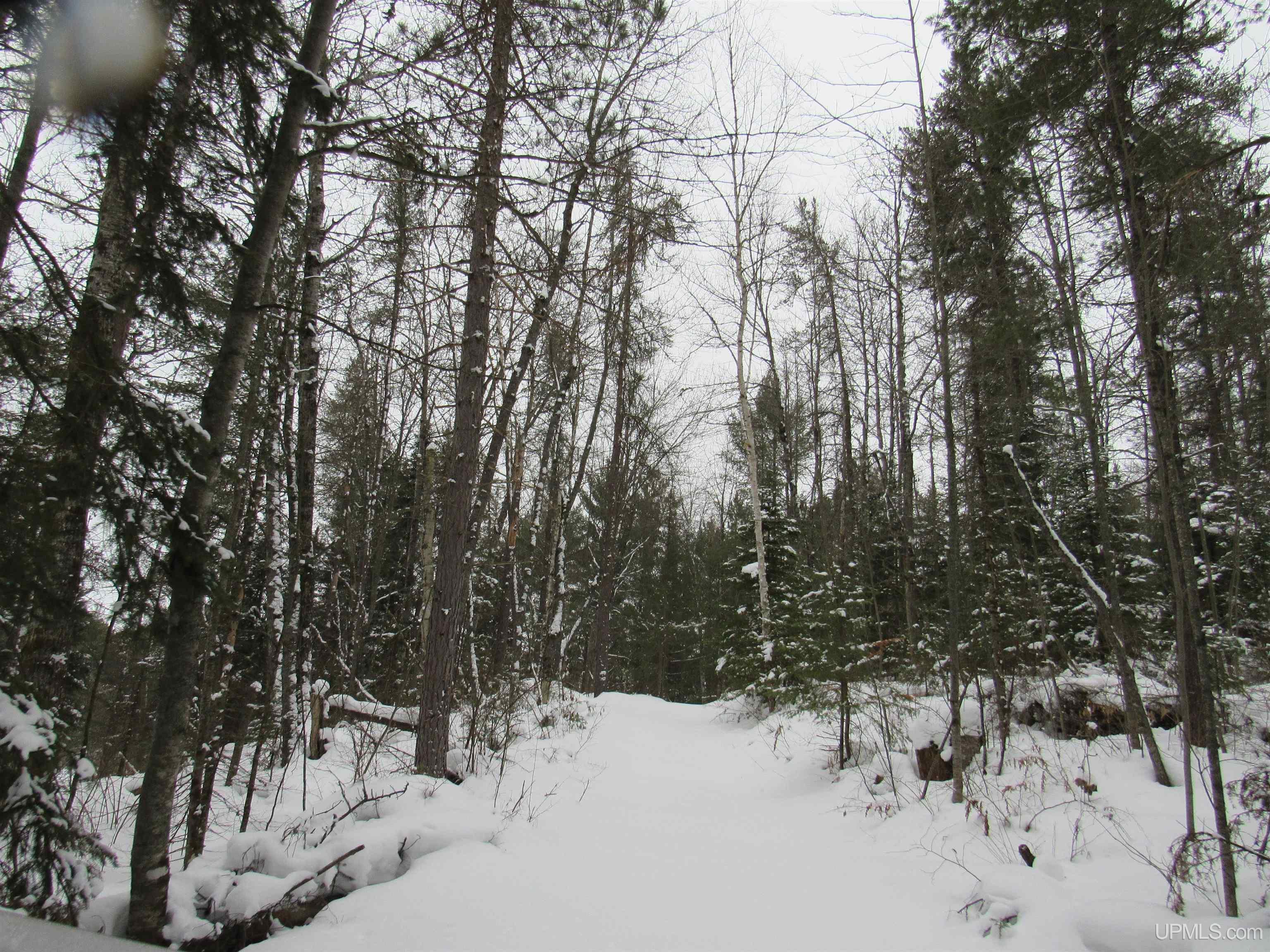 Tbd Ffr 2127k Road Property Photo 19