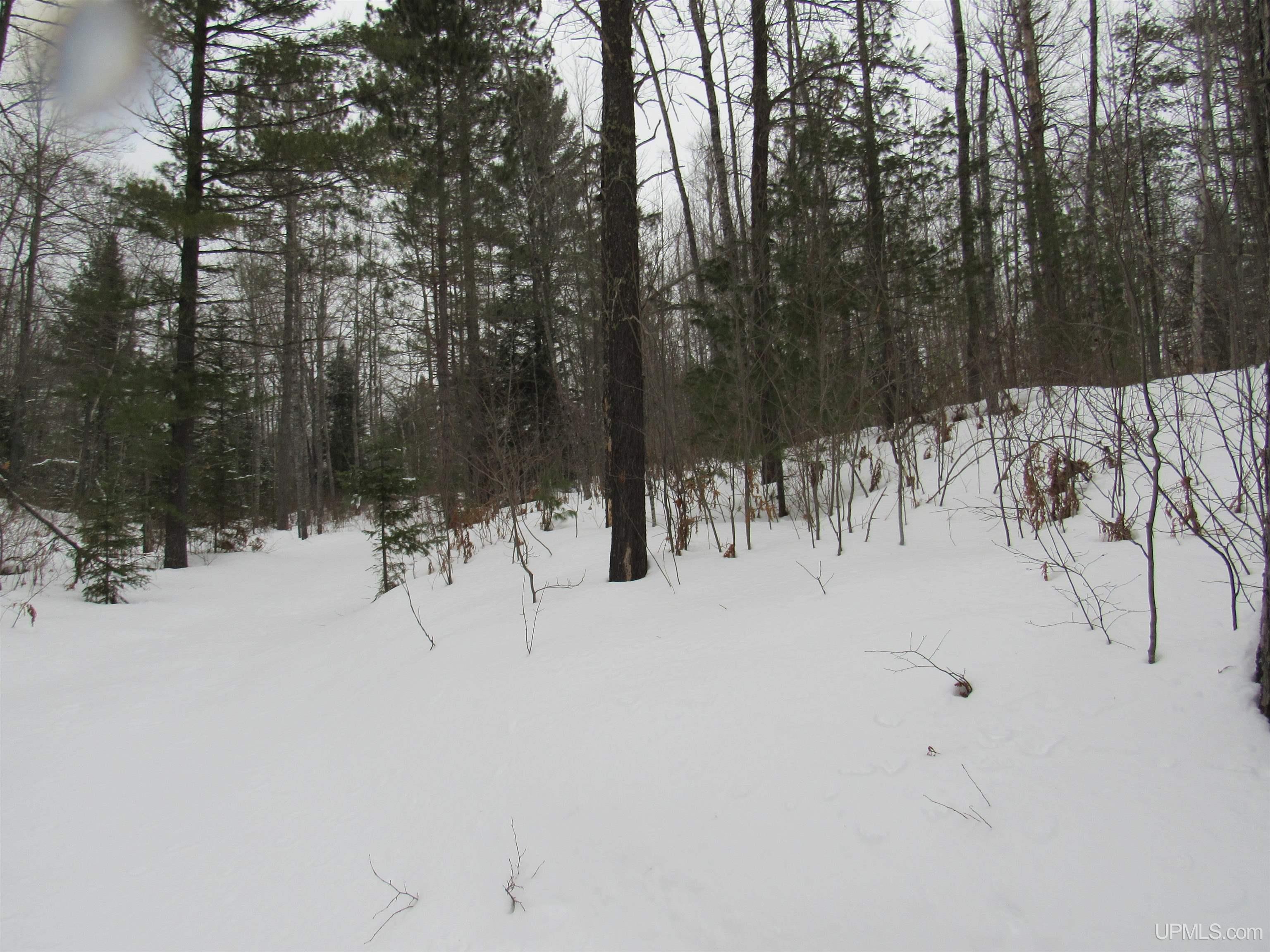Tbd Ffr 2127k Road Property Photo 22