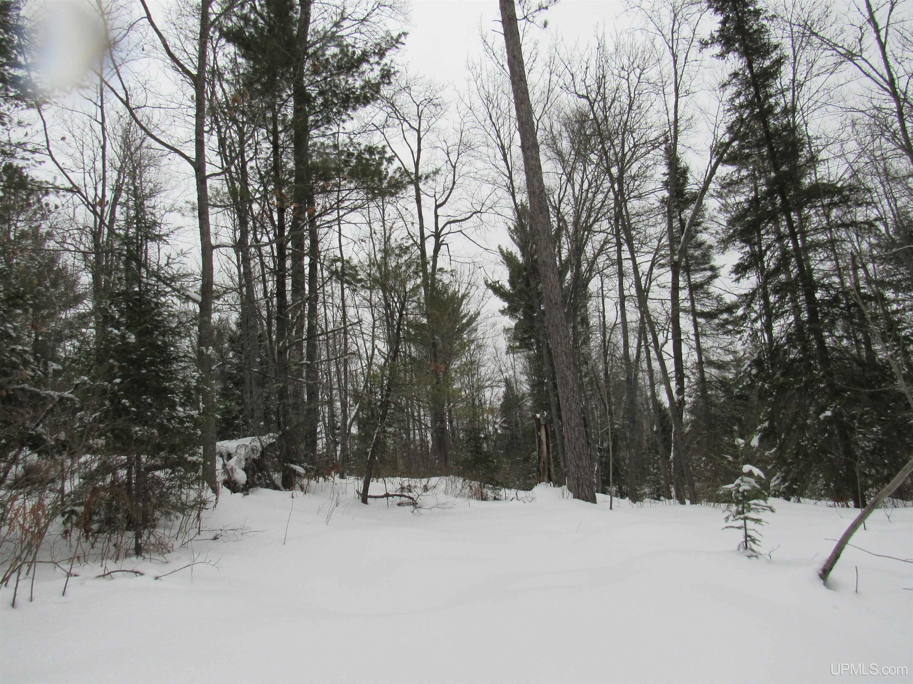 Tbd Ffr 2127k Road Property Photo 24