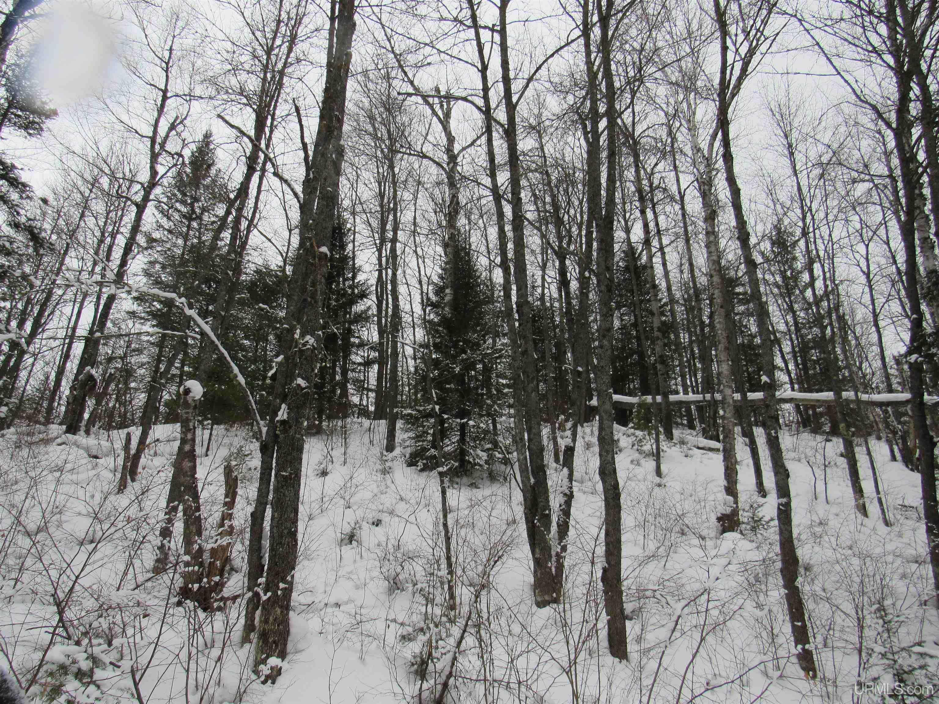 Tbd Ffr 2127k Road Property Photo 27