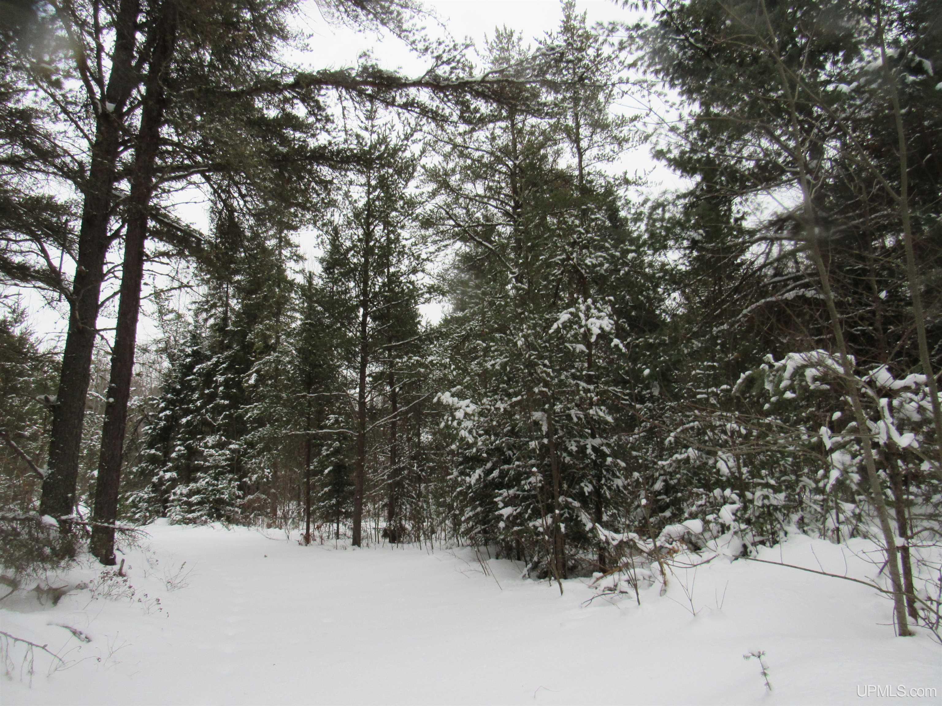 Tbd Ffr 2127k Road Property Photo 30