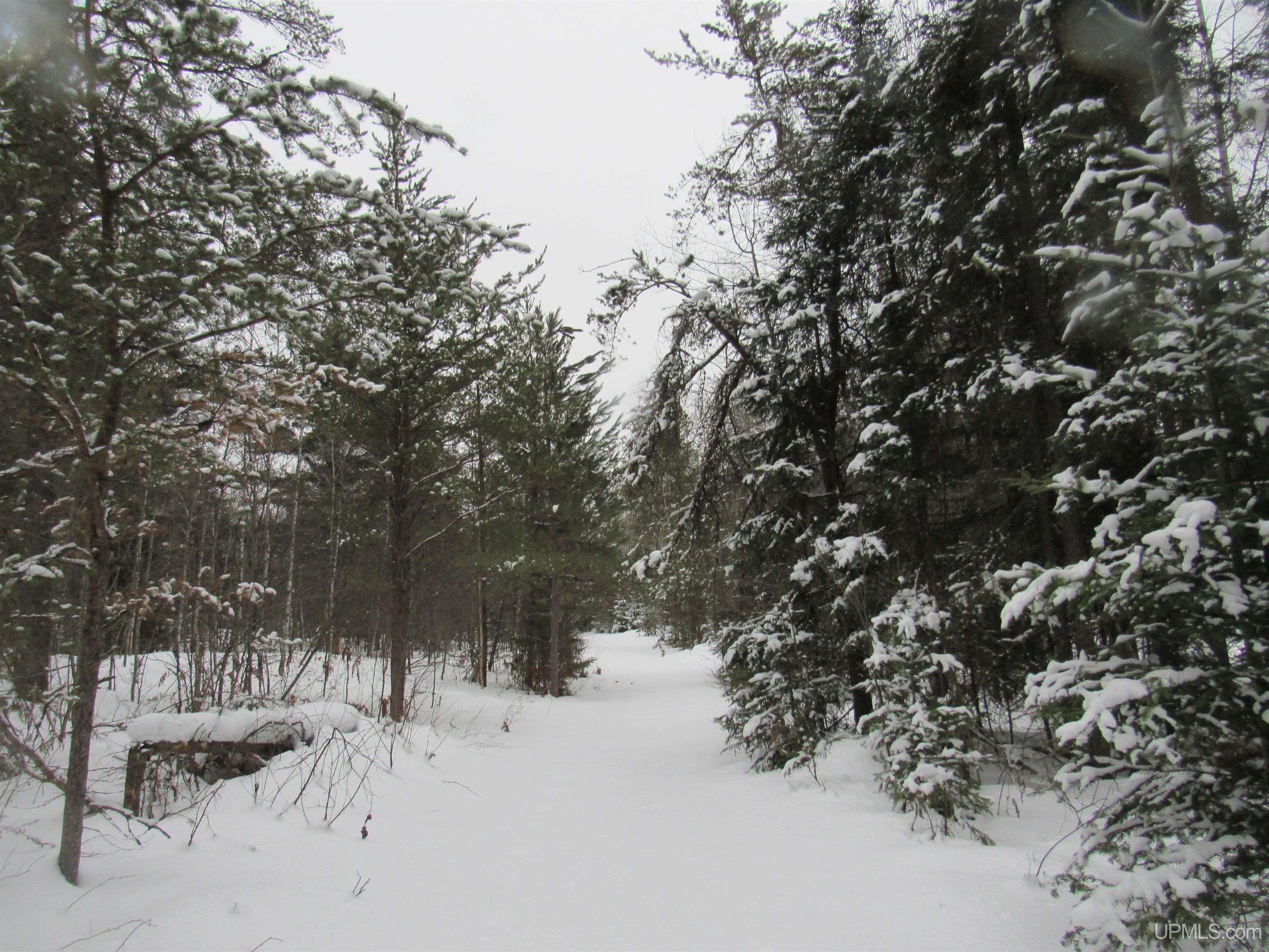 Tbd Ffr 2127k Road Property Photo 31