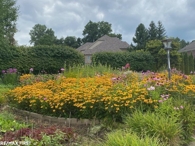 6567 Petko Court Property Photo 41