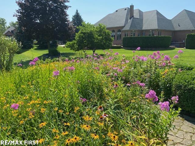 6567 Petko Court Property Photo 43