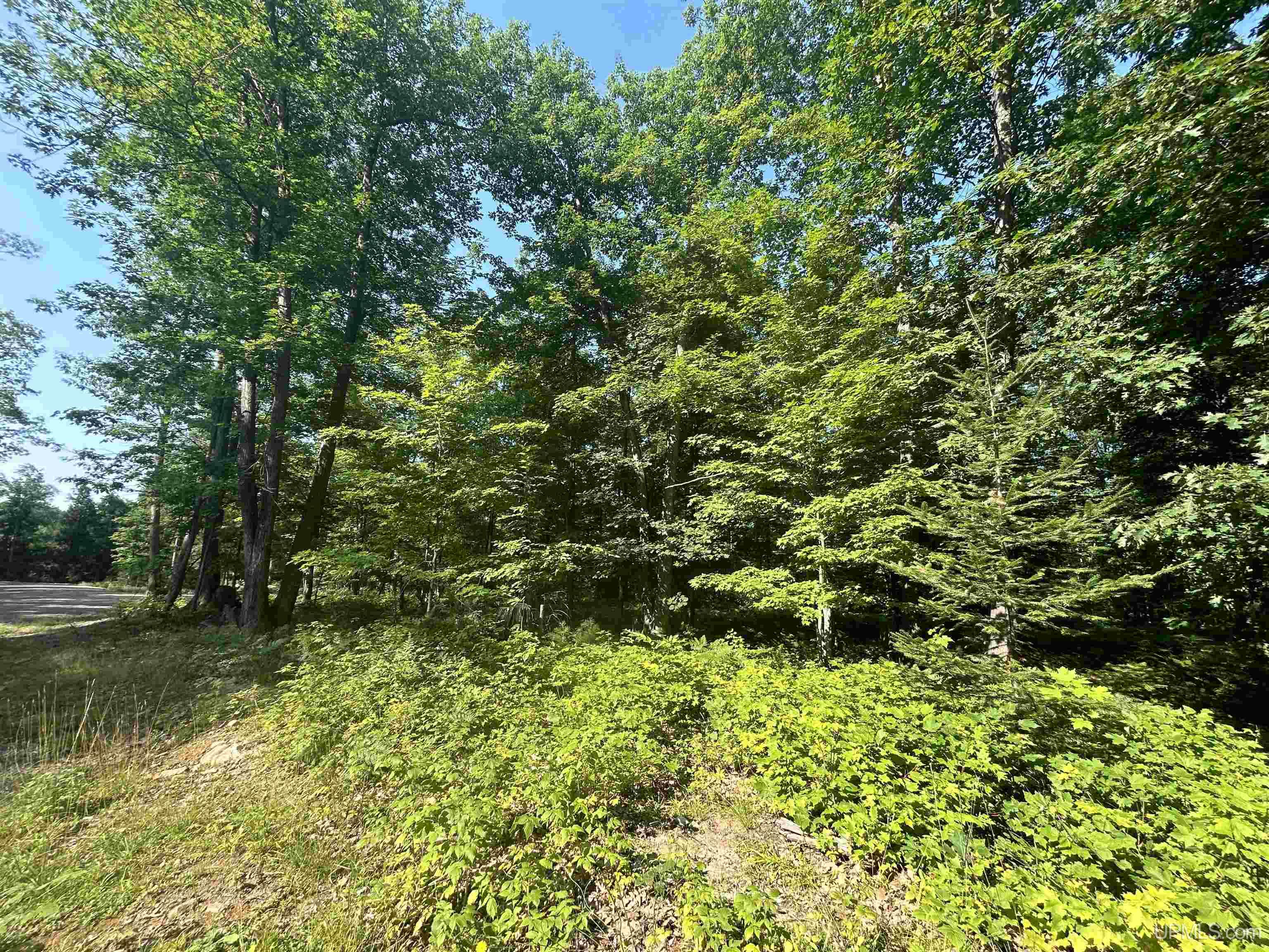 Parcel 1a Bridgeview Lane Property Photo 9
