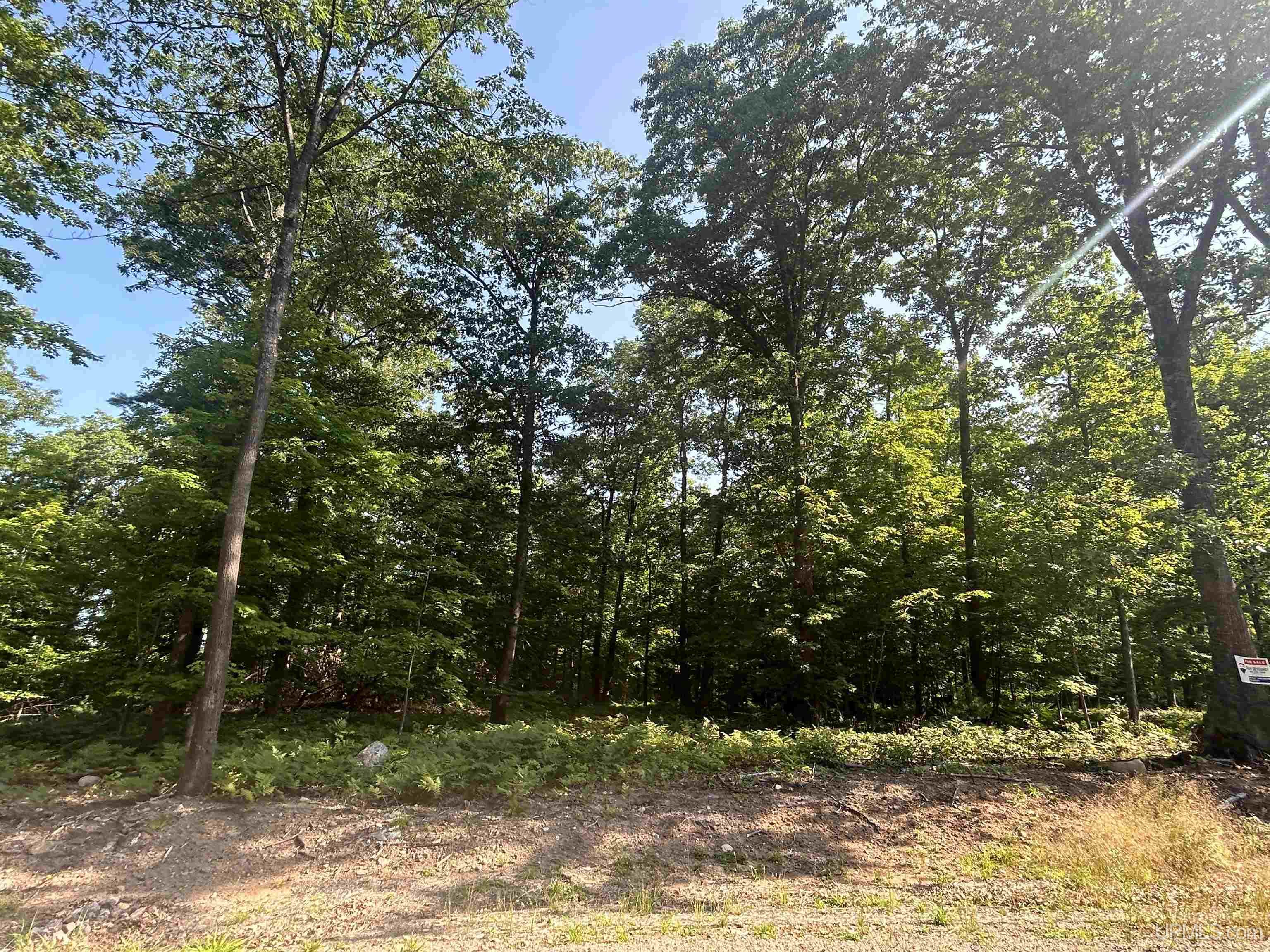 Parcel 1a Bridgeview Lane Property Photo 11