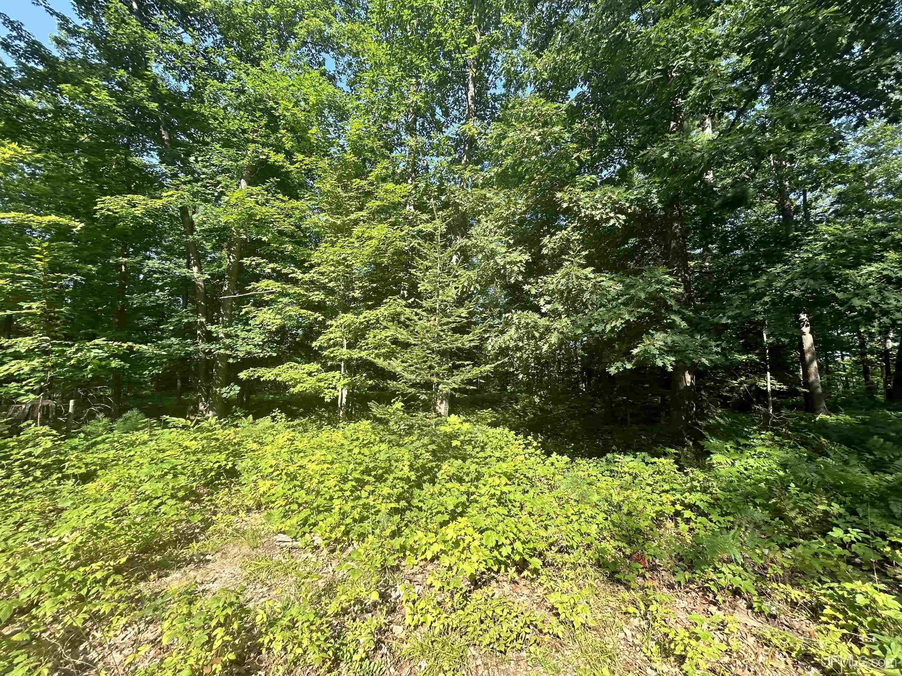 Parcel 1a Bridgeview Lane Property Photo 12