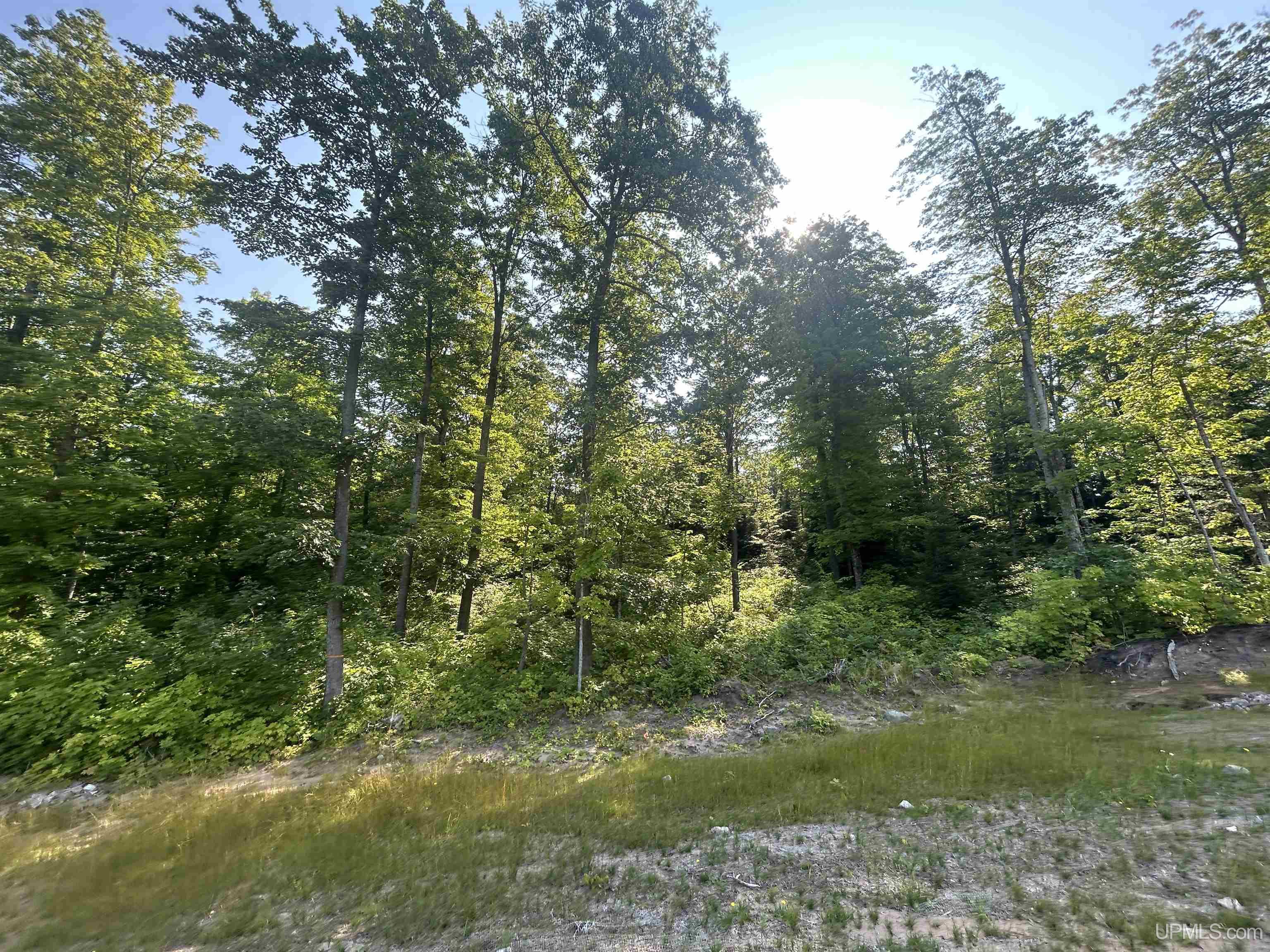 Parcel 1a Bridgeview Lane Property Photo 13
