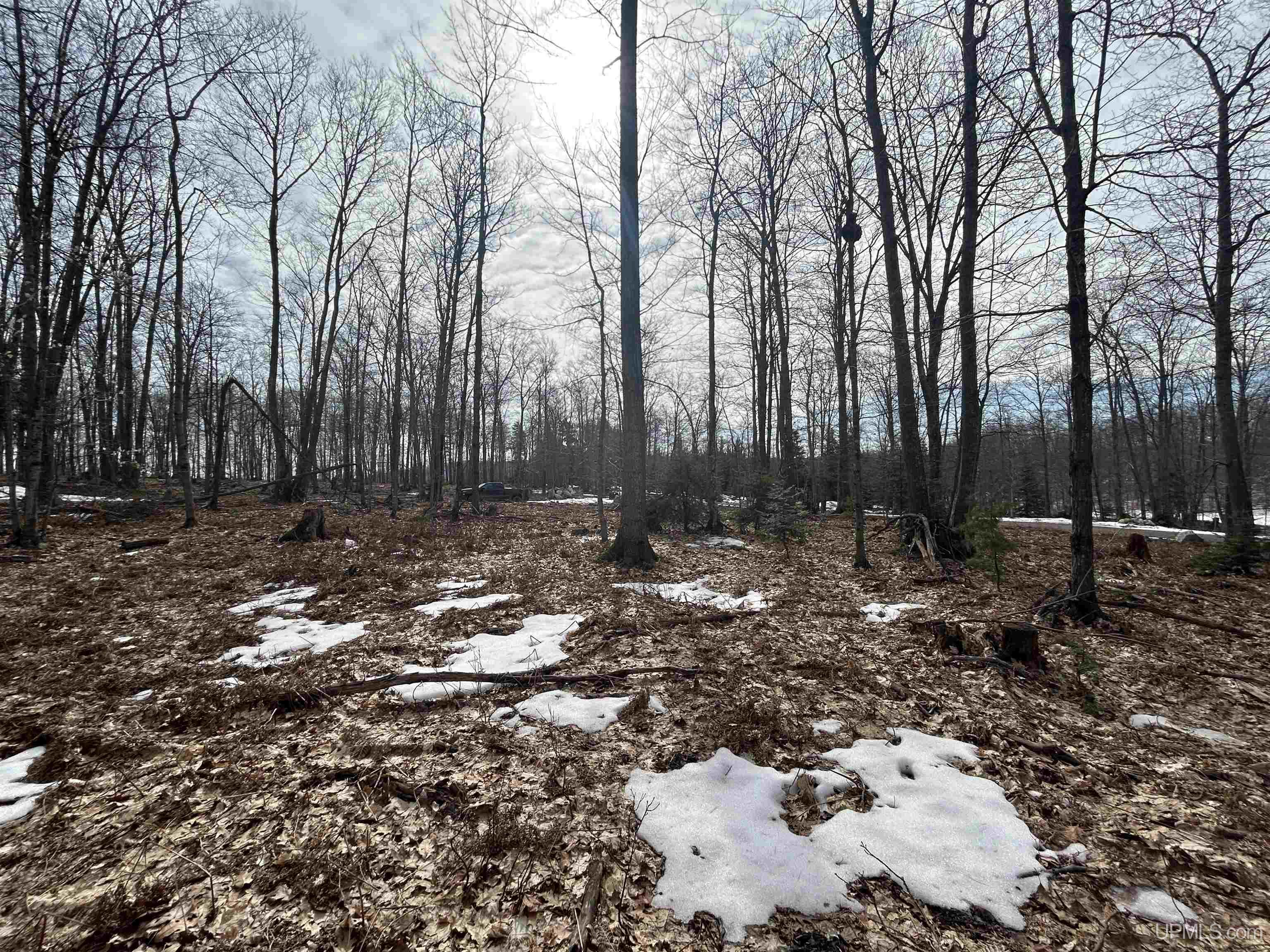 Parcel 1a Bridgeview Lane Property Photo 15