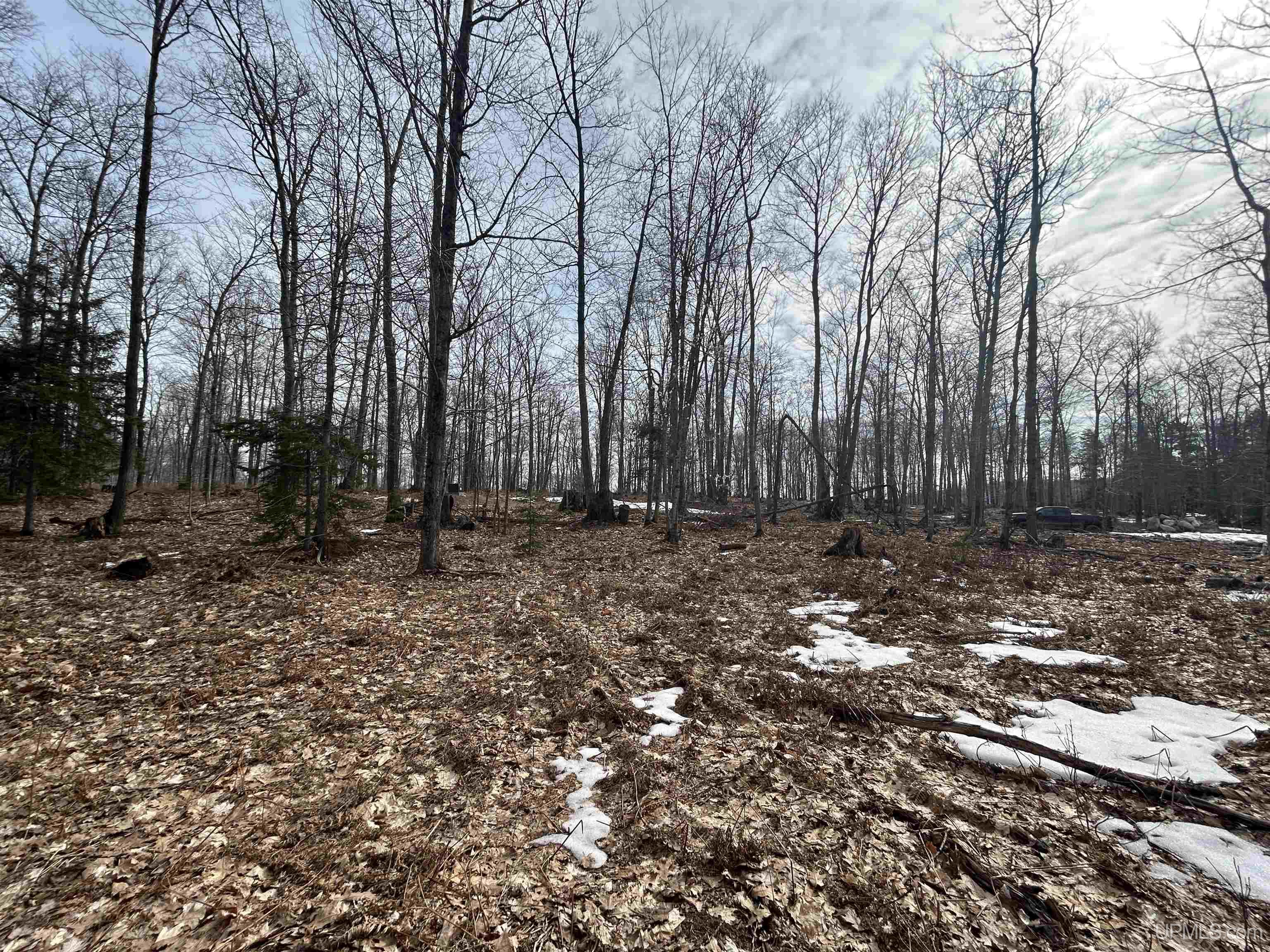 Parcel 1a Bridgeview Lane Property Photo 16