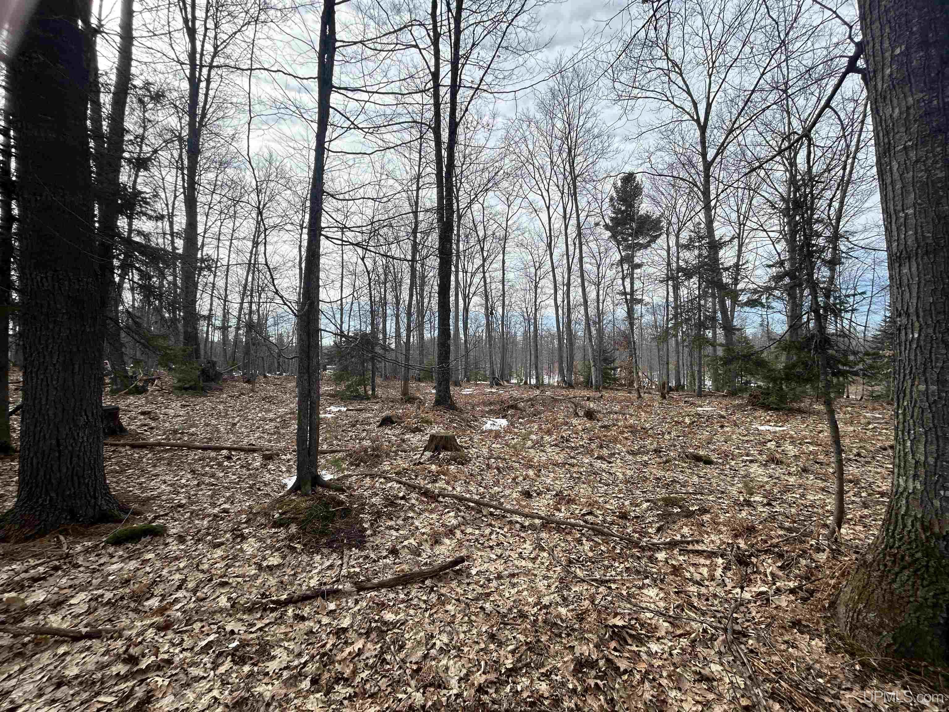 Parcel 1a Bridgeview Lane Property Photo 18