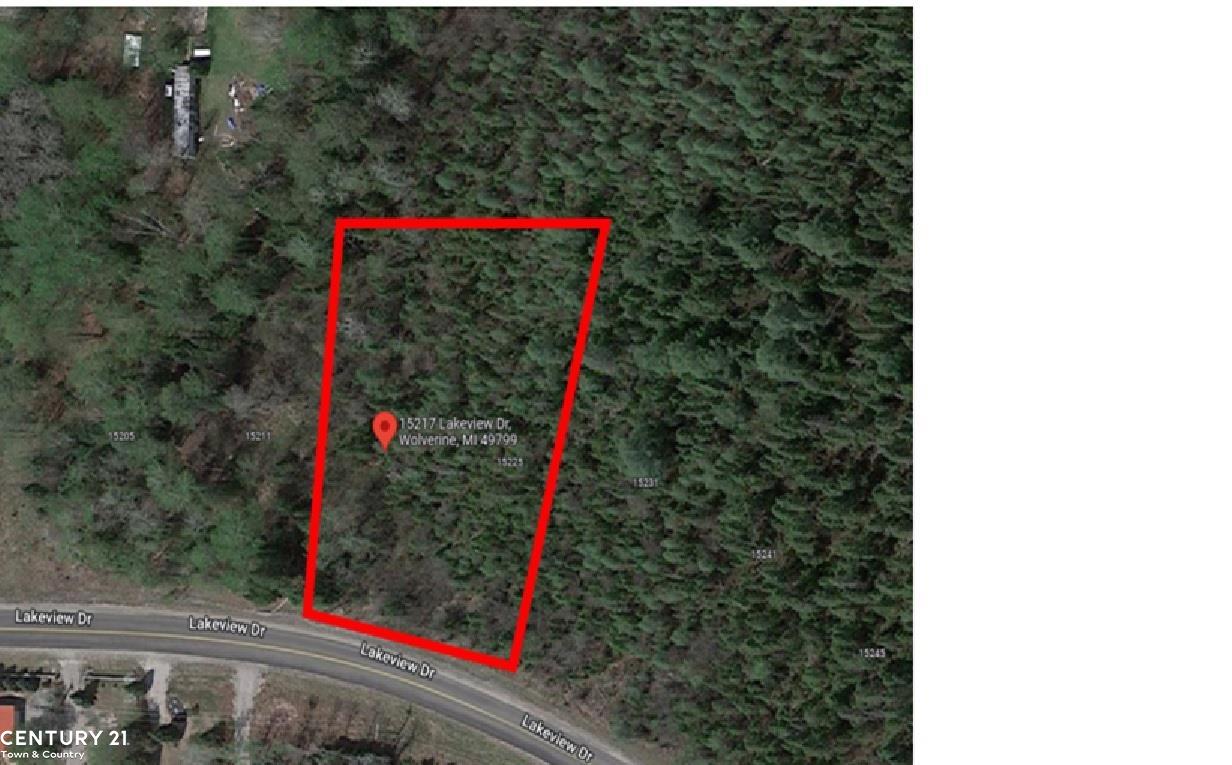 15217 Lakeview Drive Property Photo 6