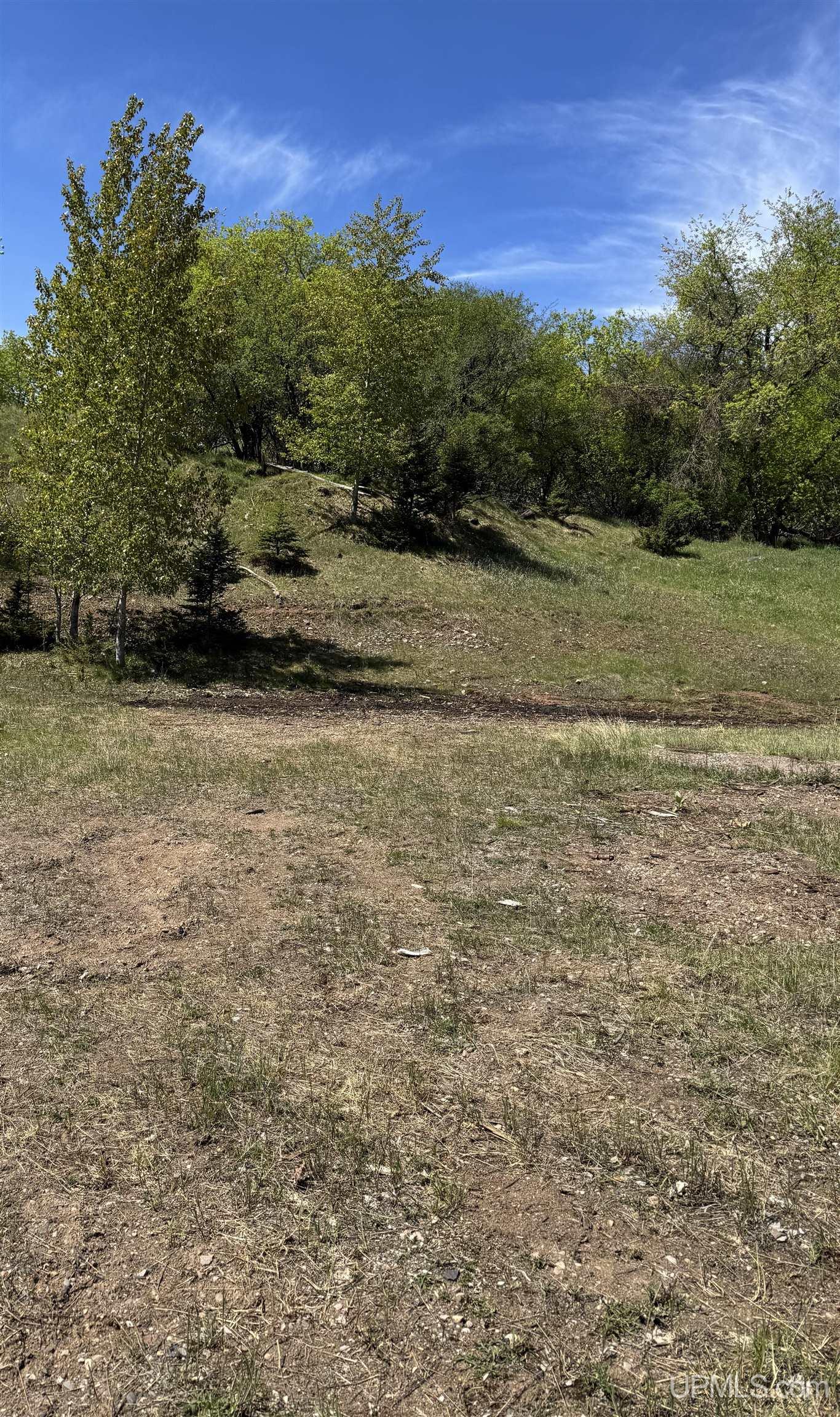 Tbd N Merritt Avenue Property Photo 4