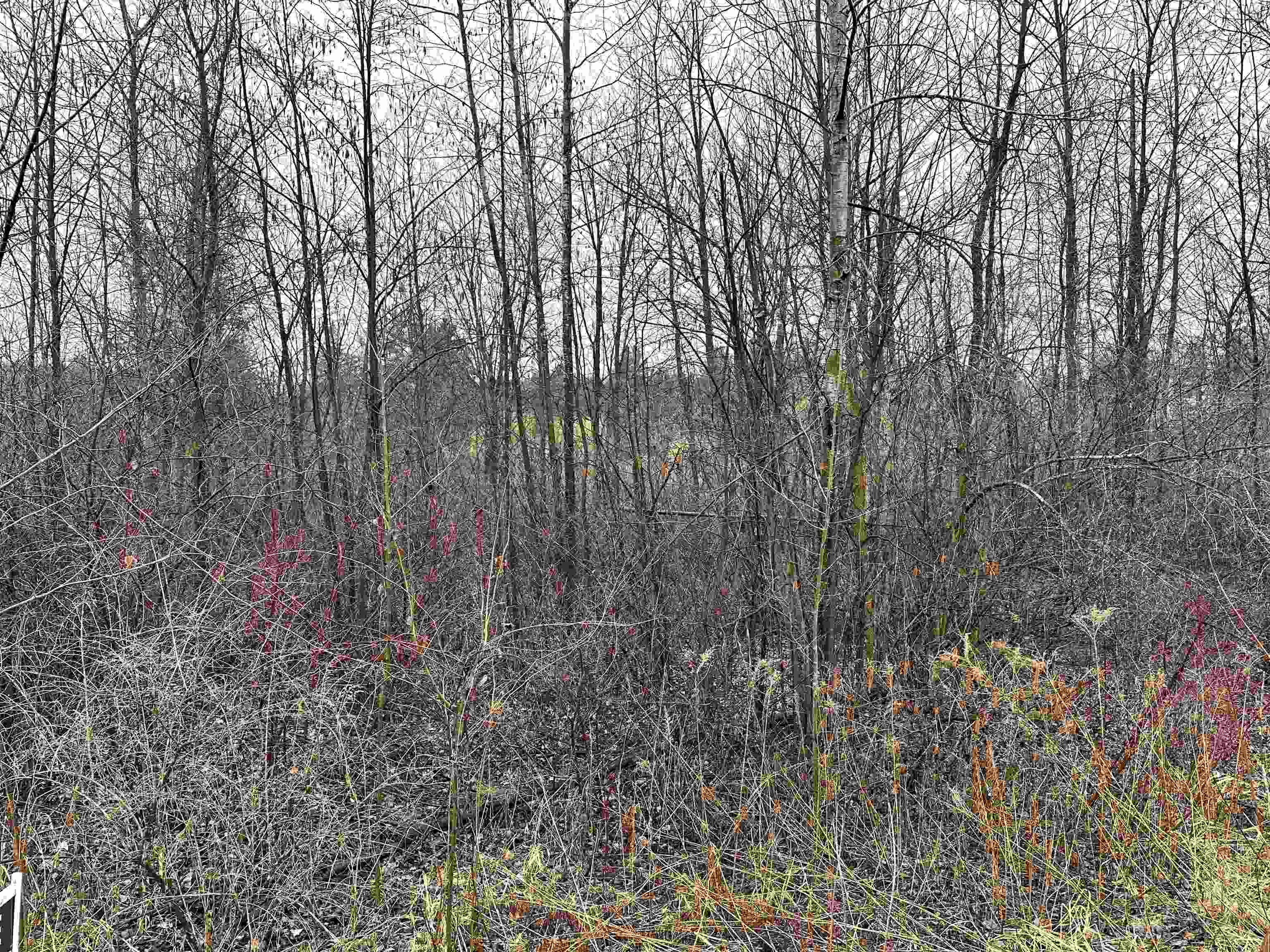 4019 Bay Avenue Property Photo 2