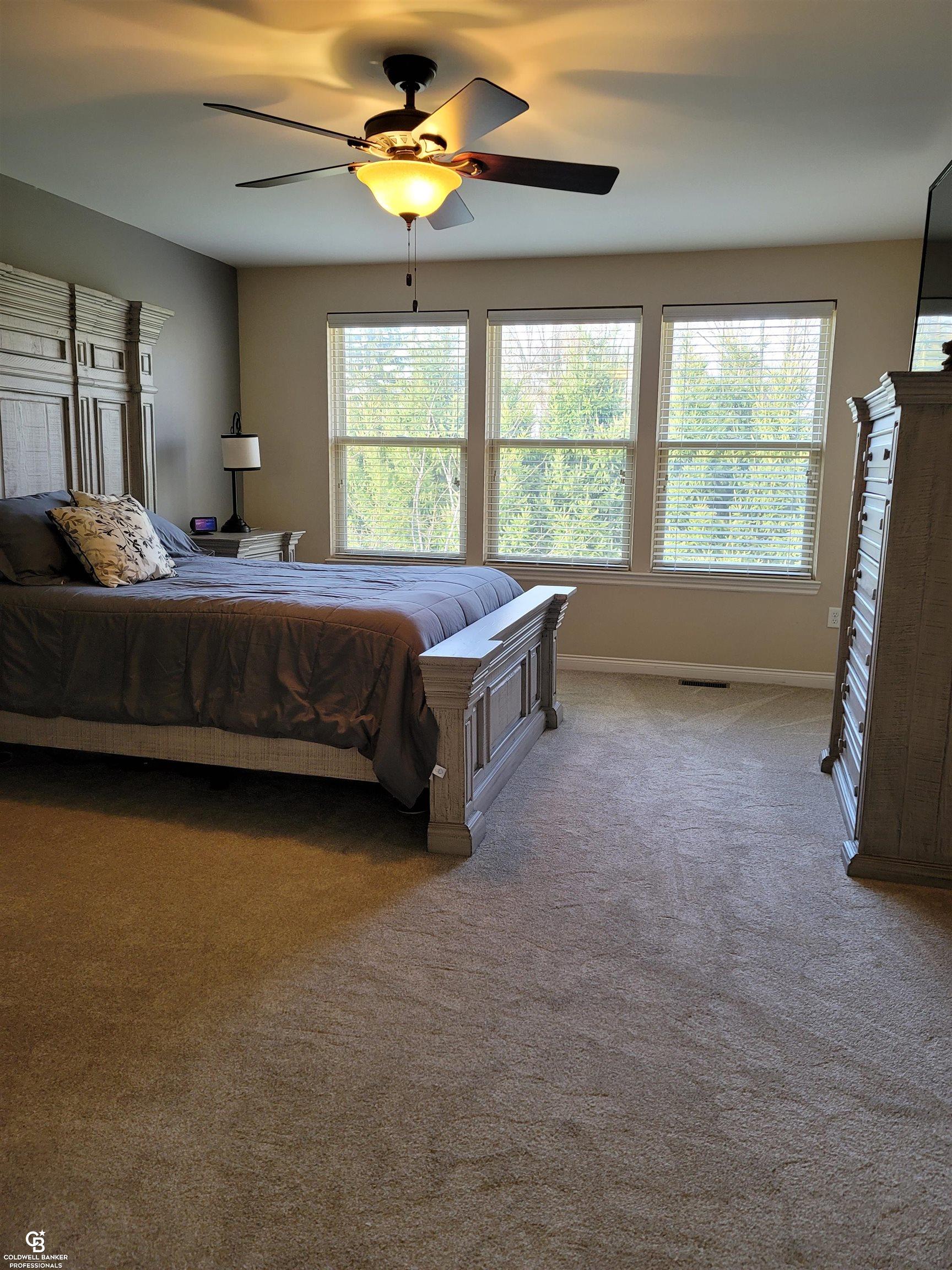 34357 Dante Drive Property Photo 39