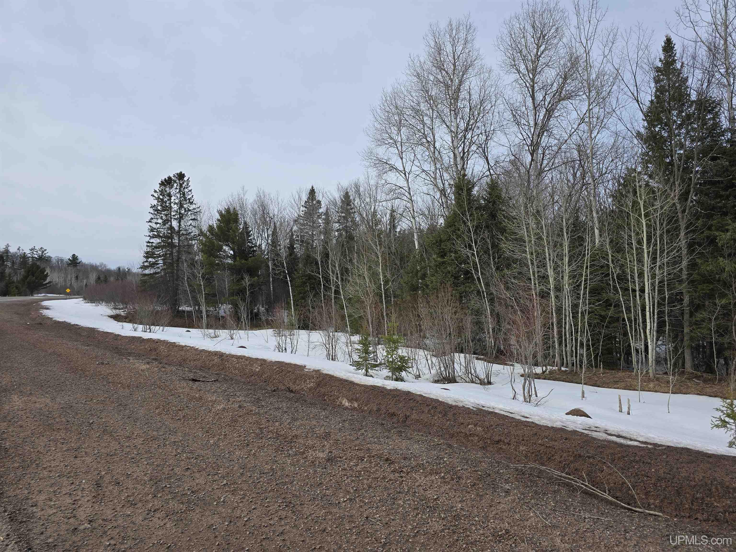 Tbd M 38 Highway Property Photo 4