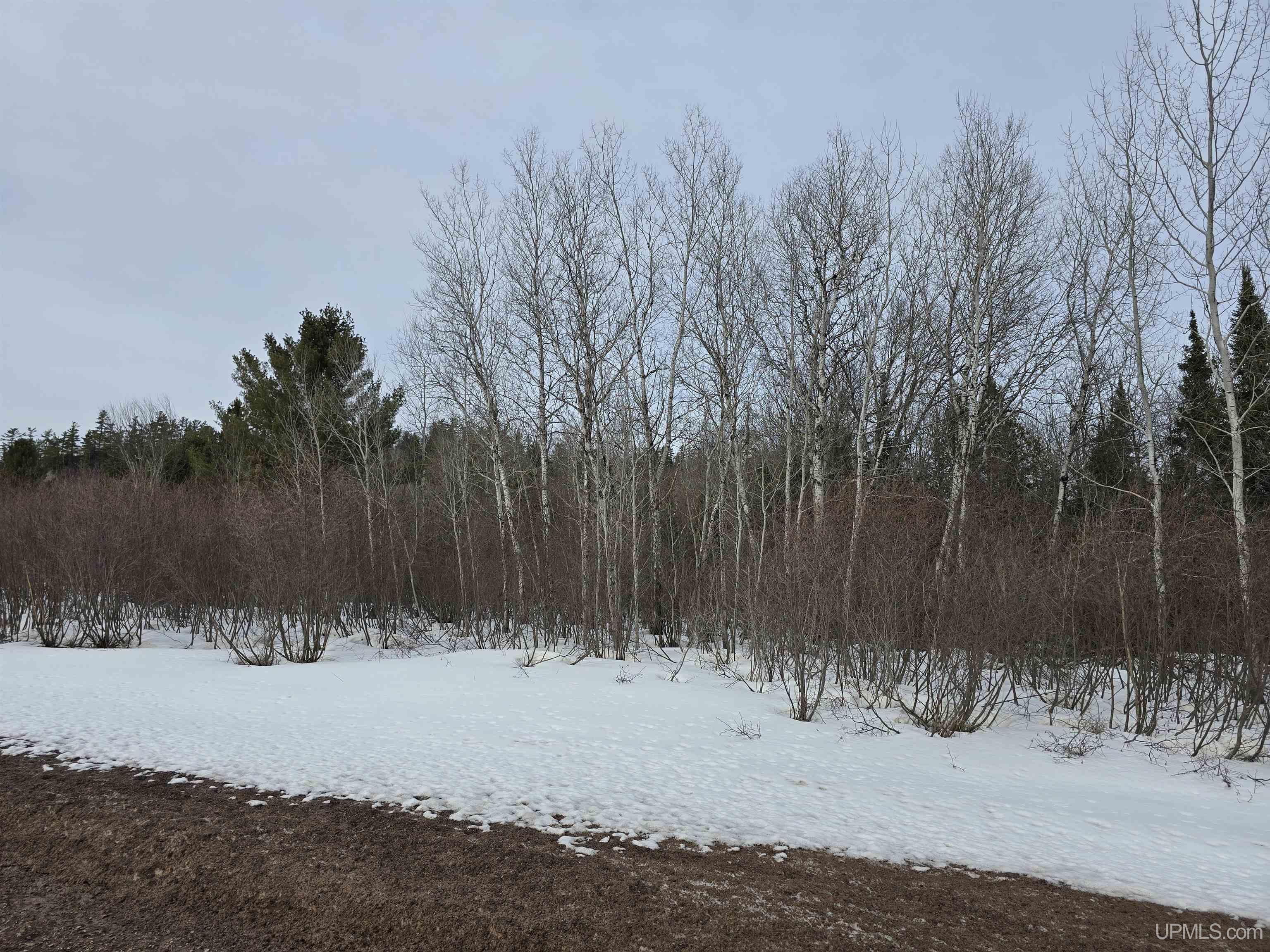 Tbd M 38 Highway Property Photo 5
