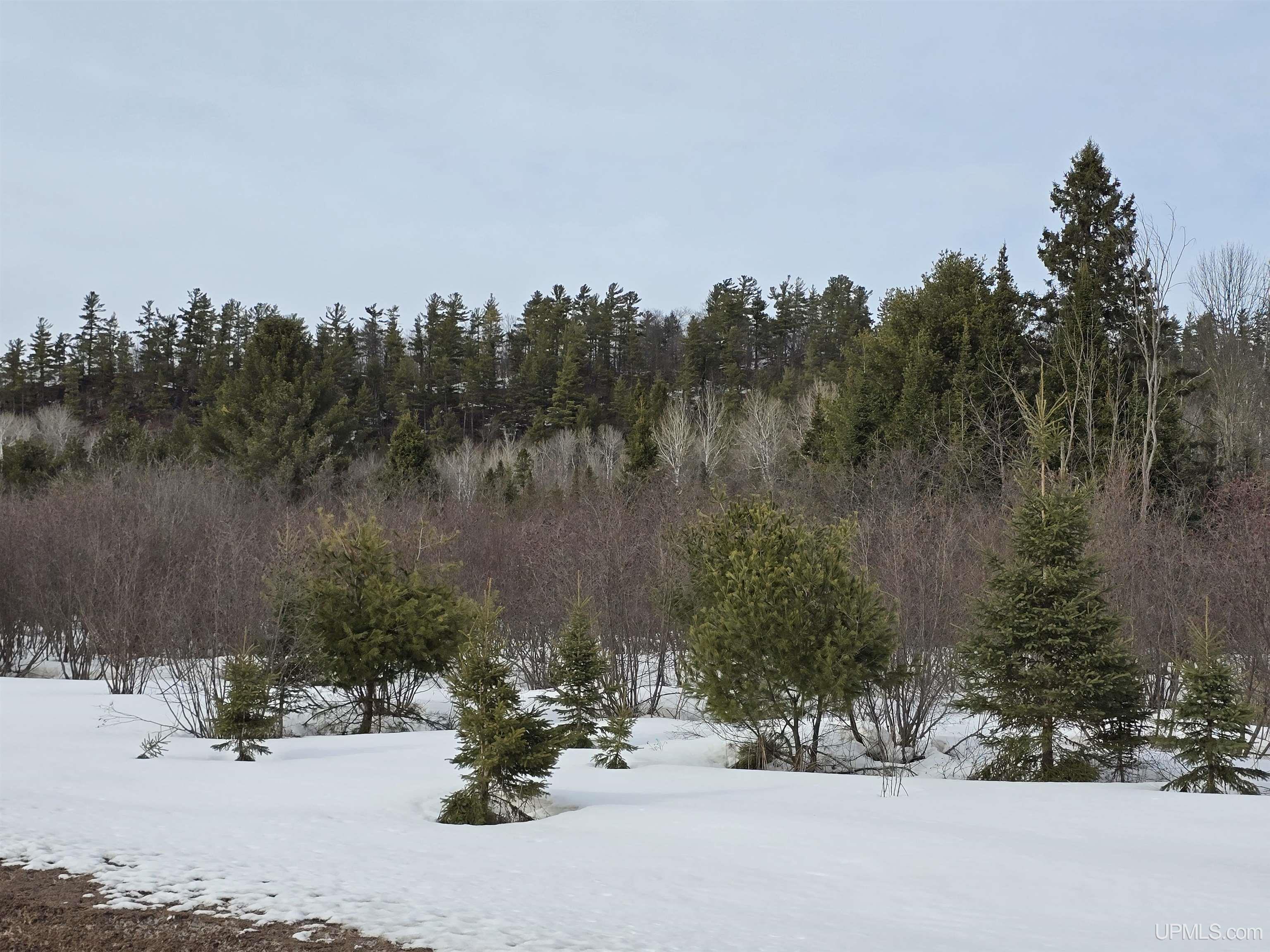 Tbd M 38 Highway Property Photo 6