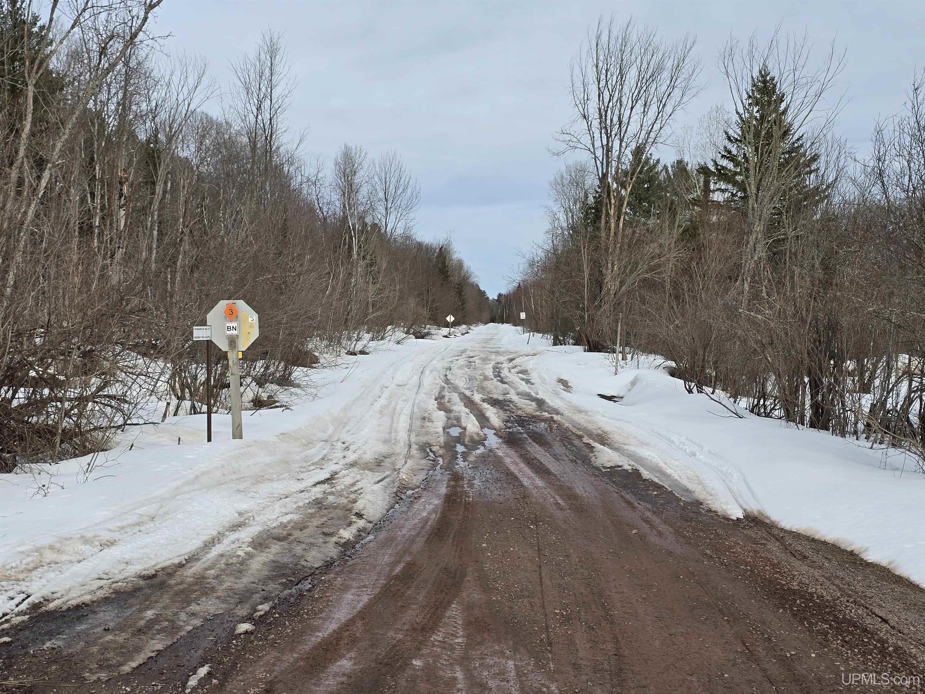 Tbd M 38 Highway Property Photo 7