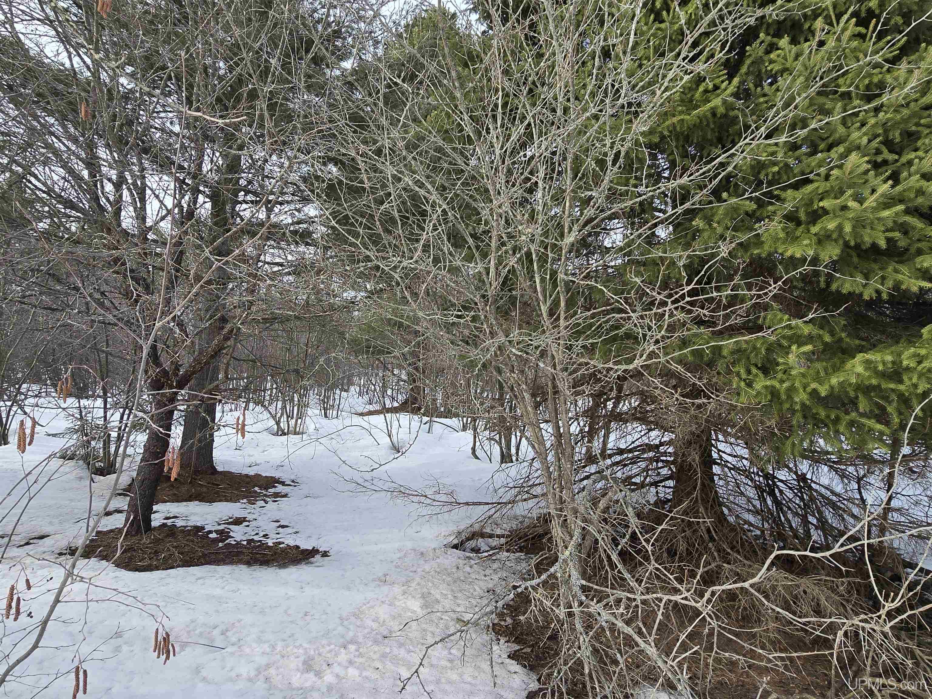 Tbd M 38 Highway Property Photo 8
