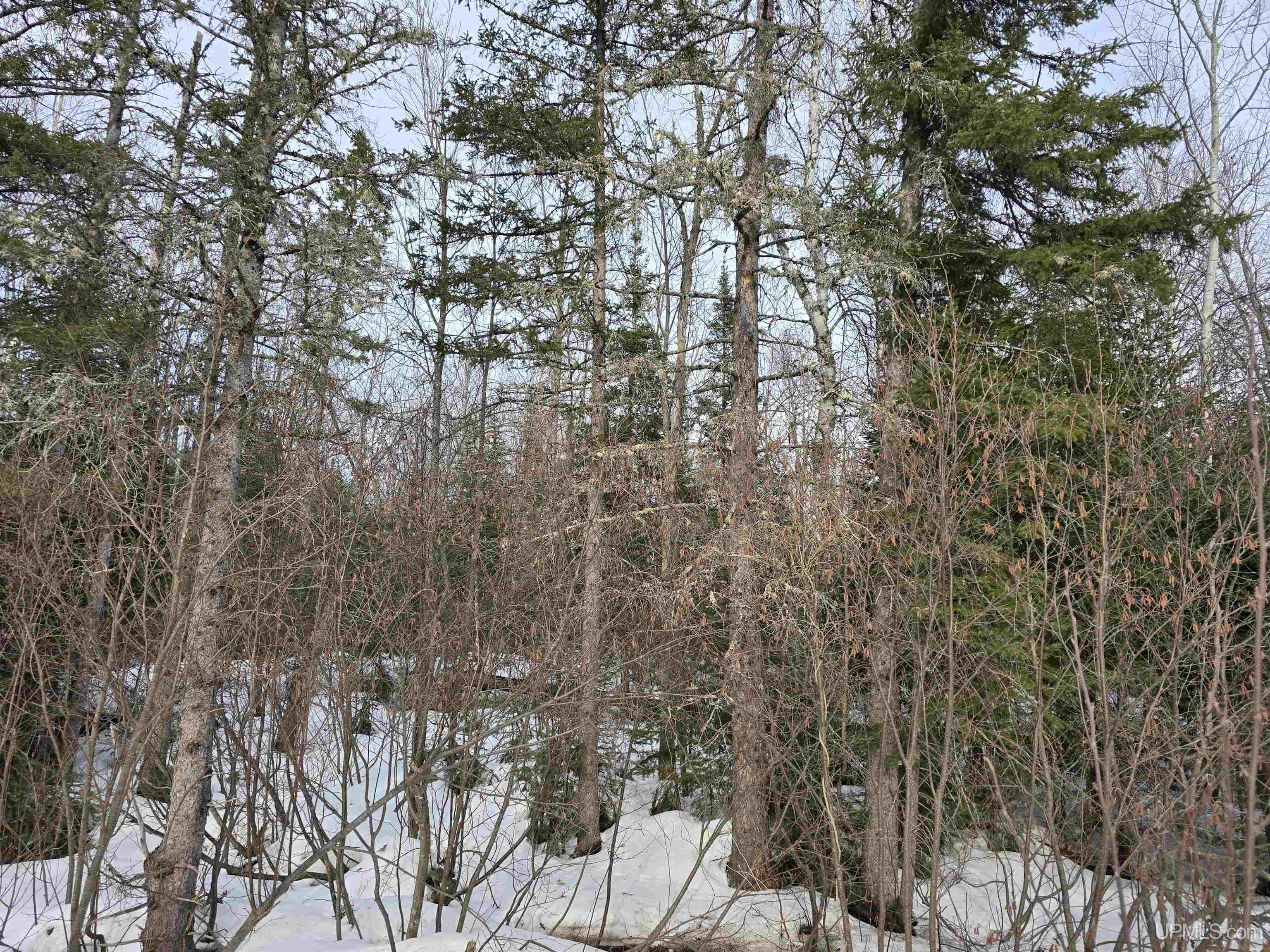 Tbd M 38 Highway Property Photo 9