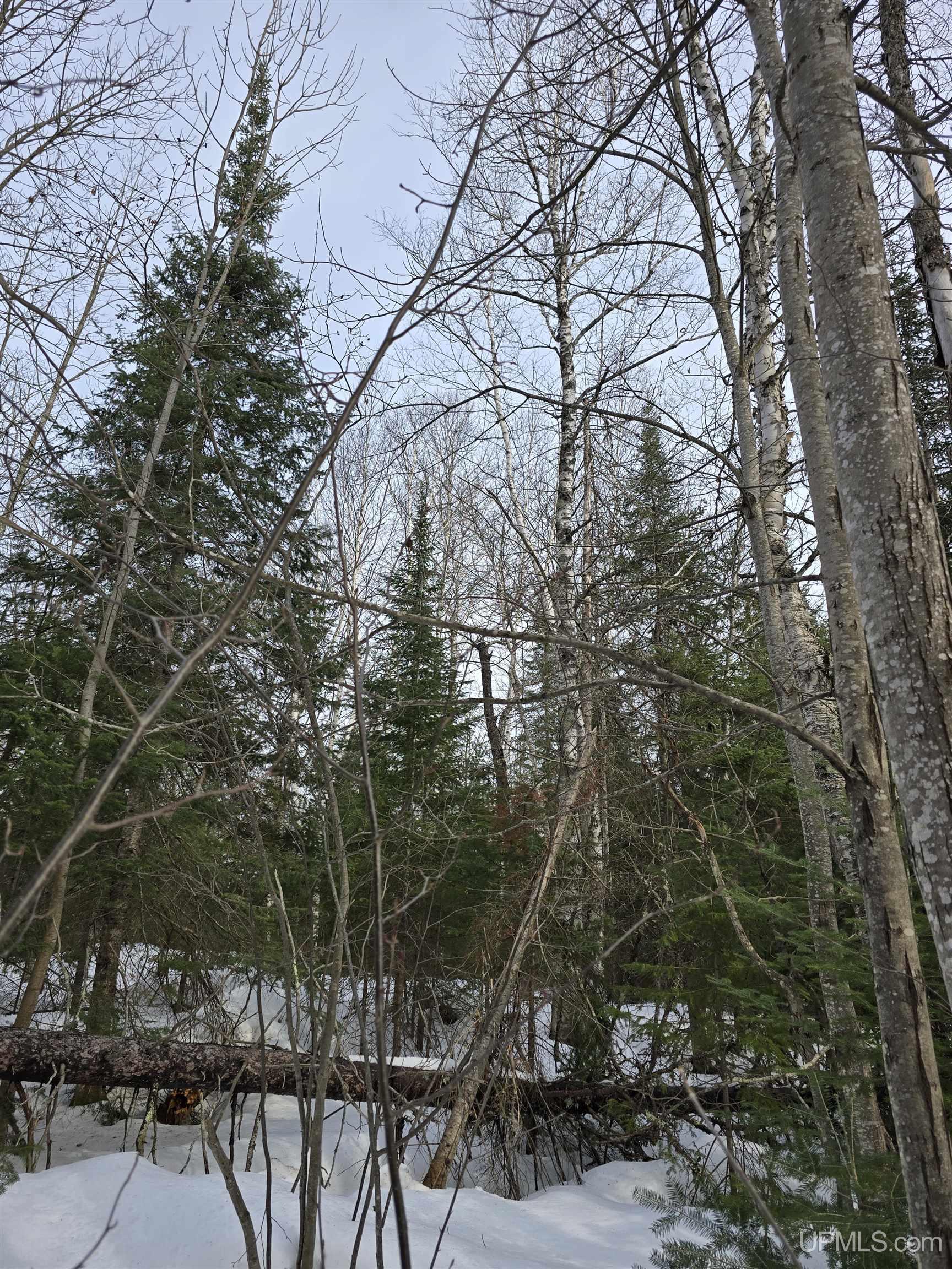 Tbd M 38 Highway Property Photo 10