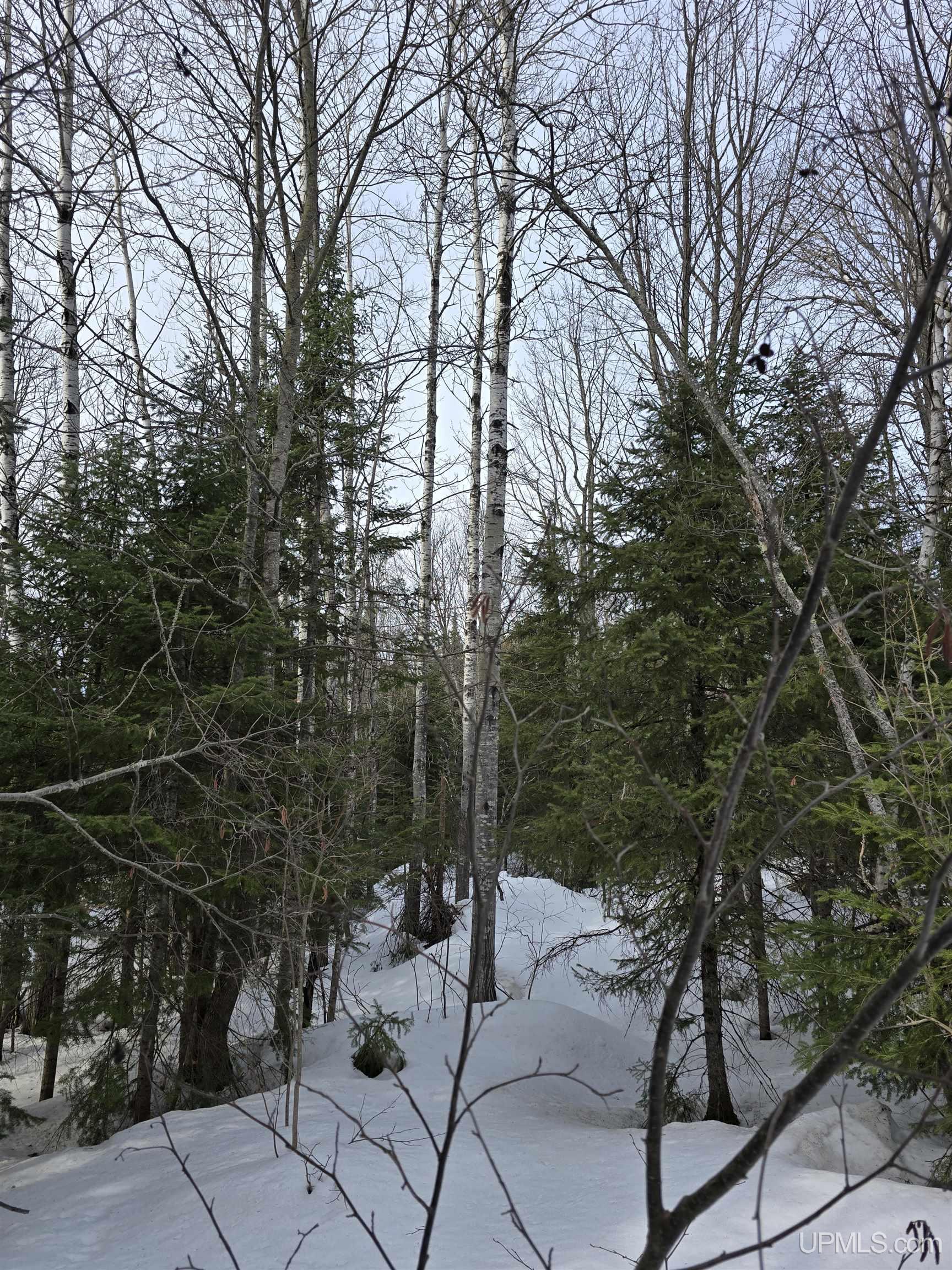 Tbd M 38 Highway Property Photo 11