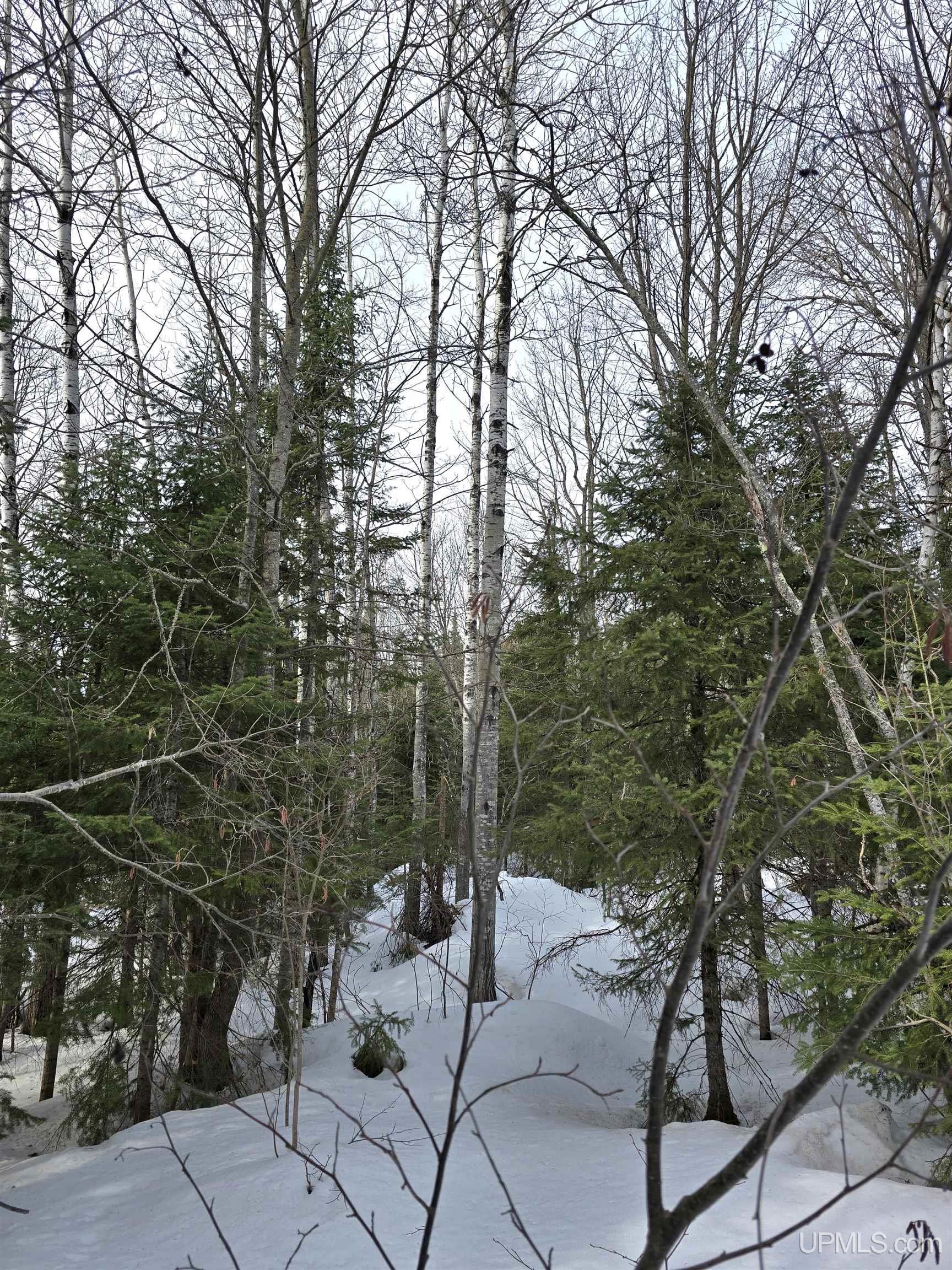Tbd M 38 Highway Property Photo 12