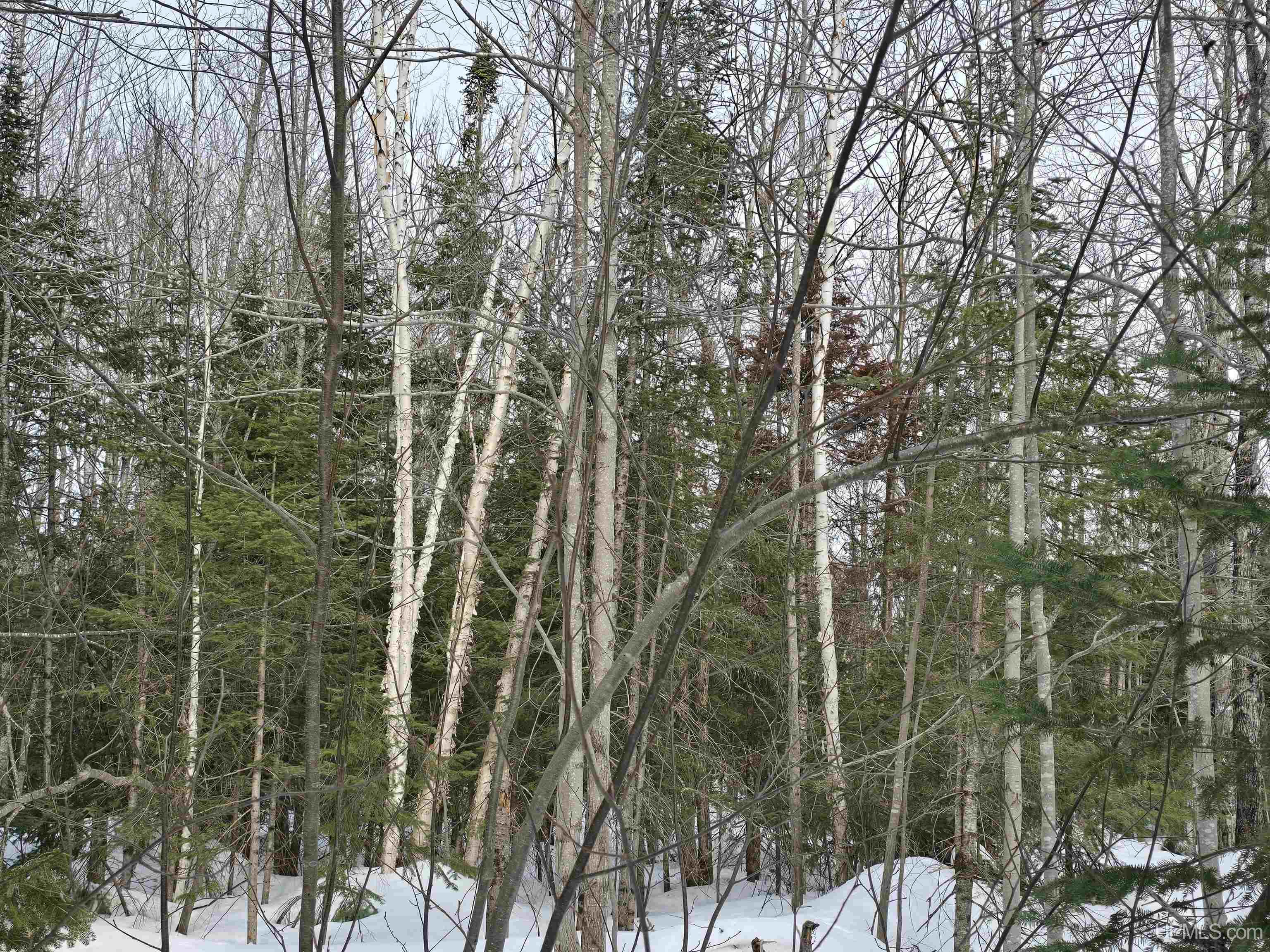Tbd M 38 Highway Property Photo 13