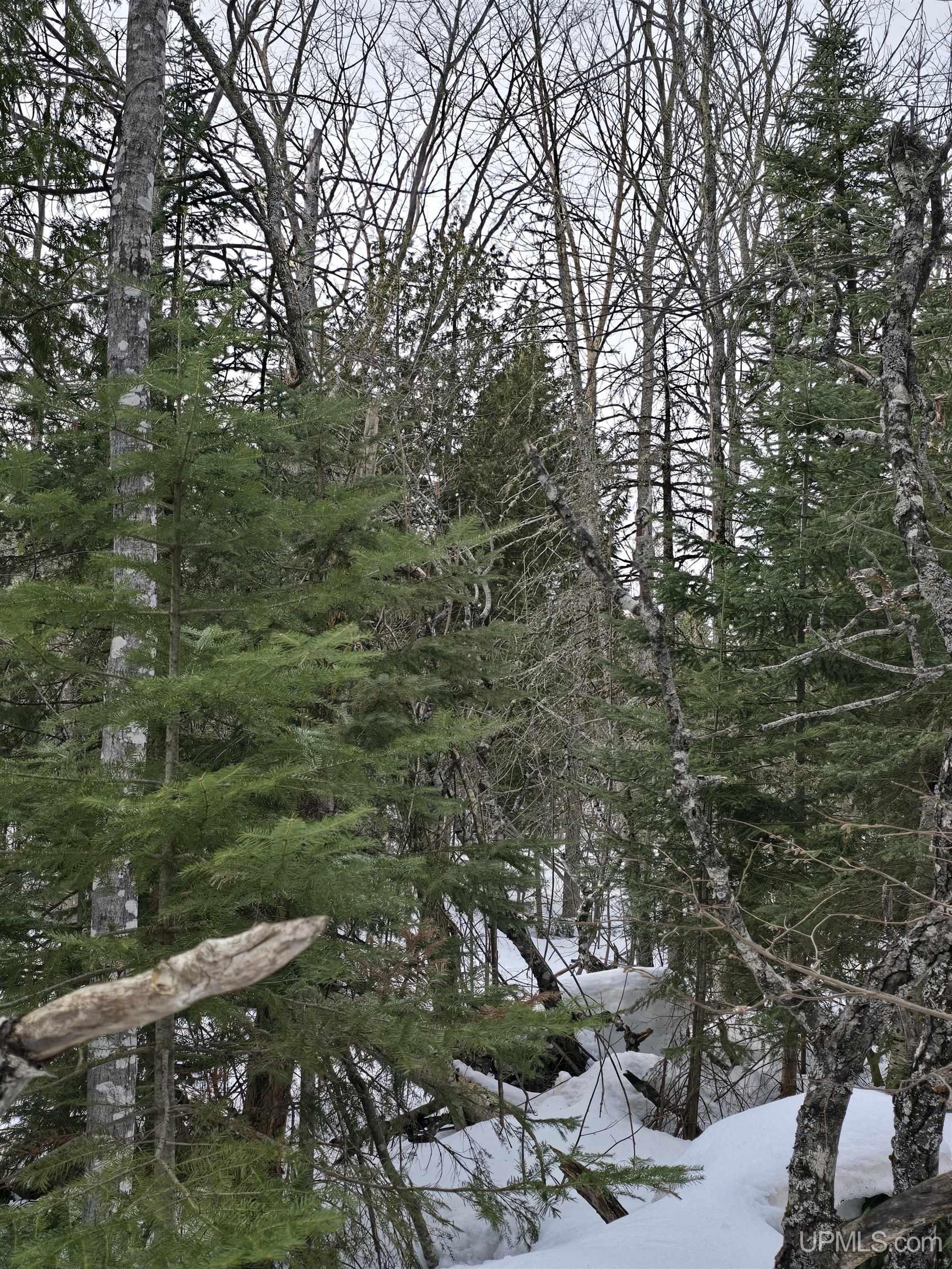 Tbd M 38 Highway Property Photo 14