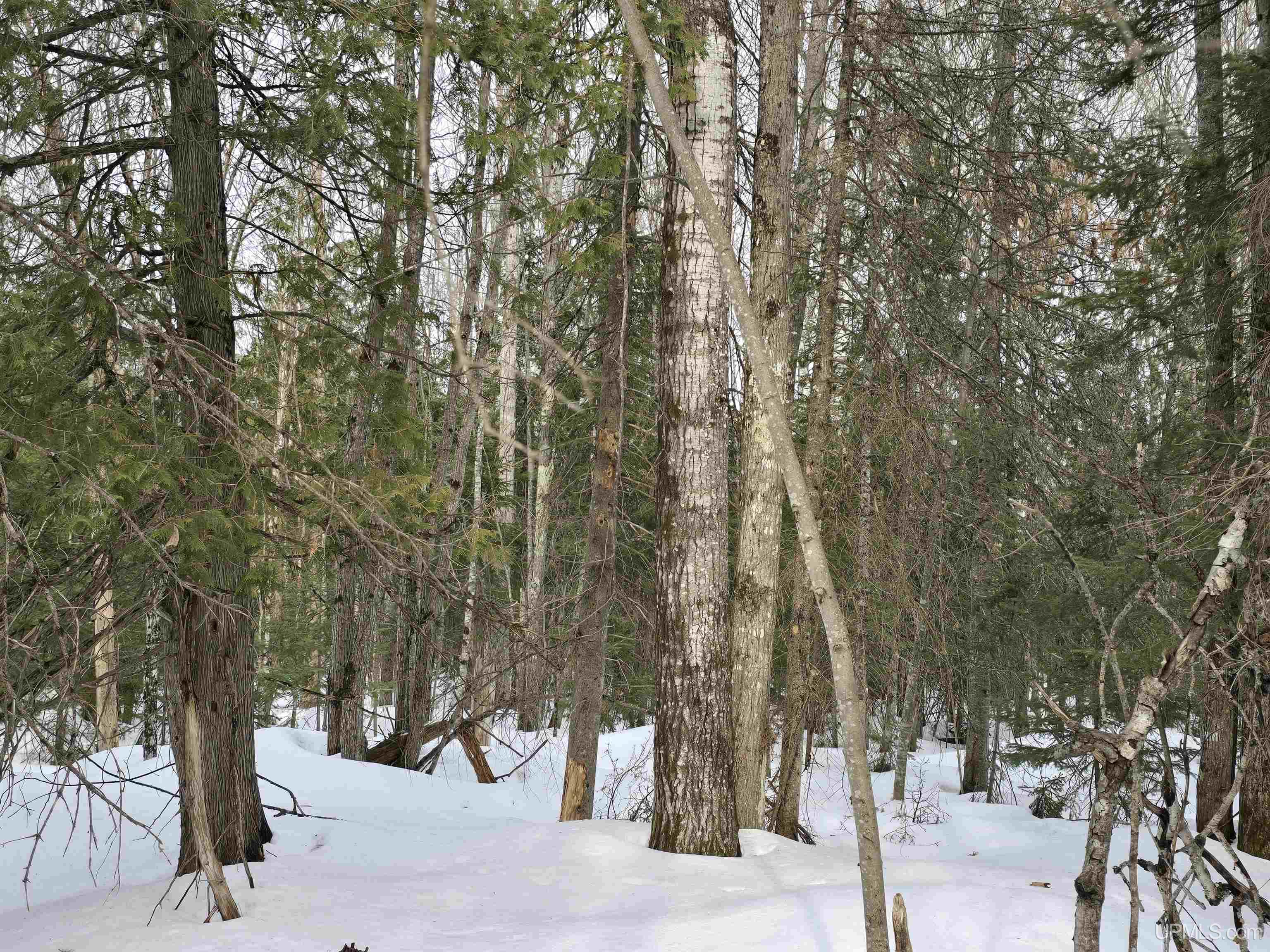 Tbd M 38 Highway Property Photo 15
