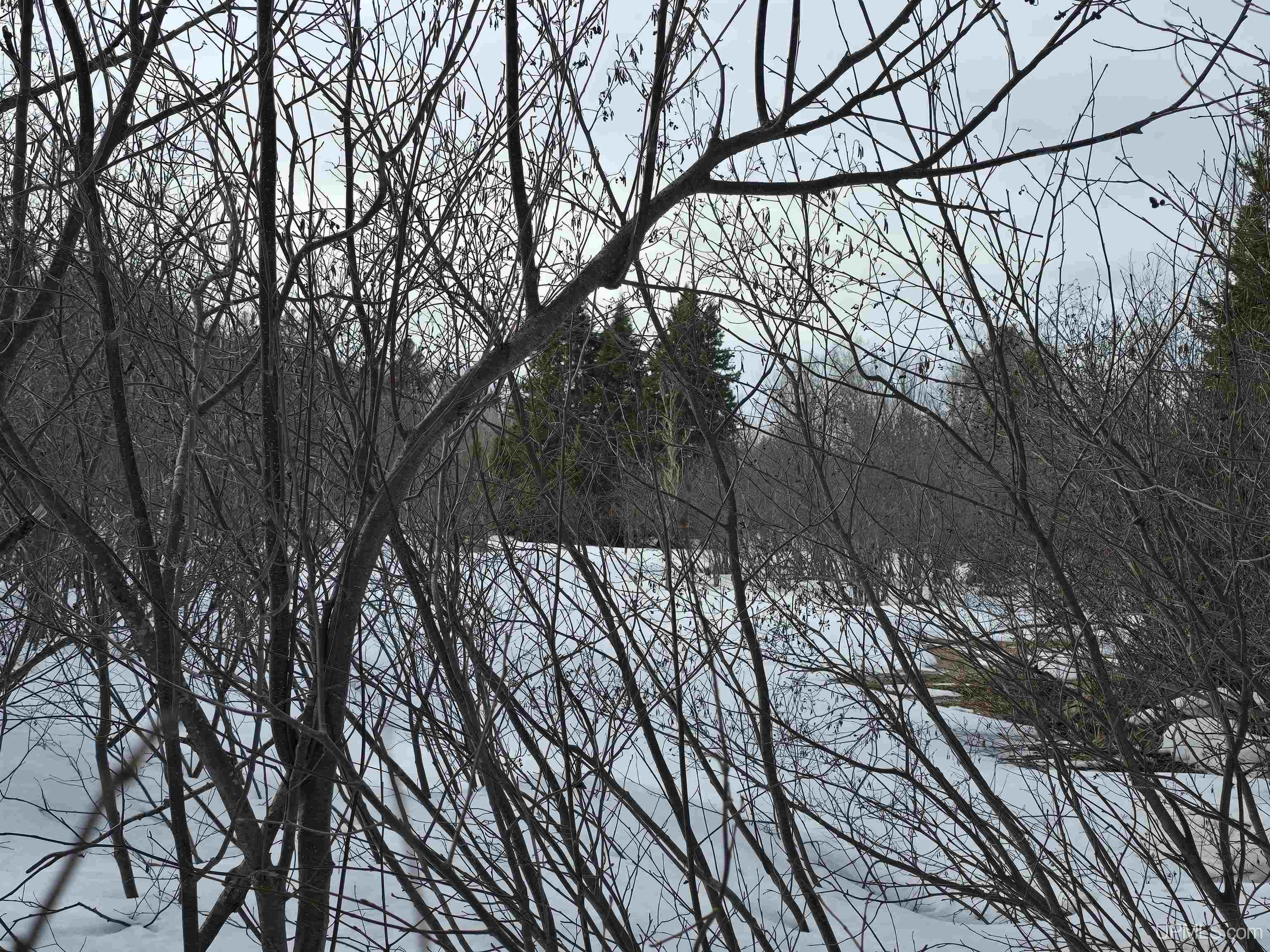 Tbd M 38 Highway Property Photo 21