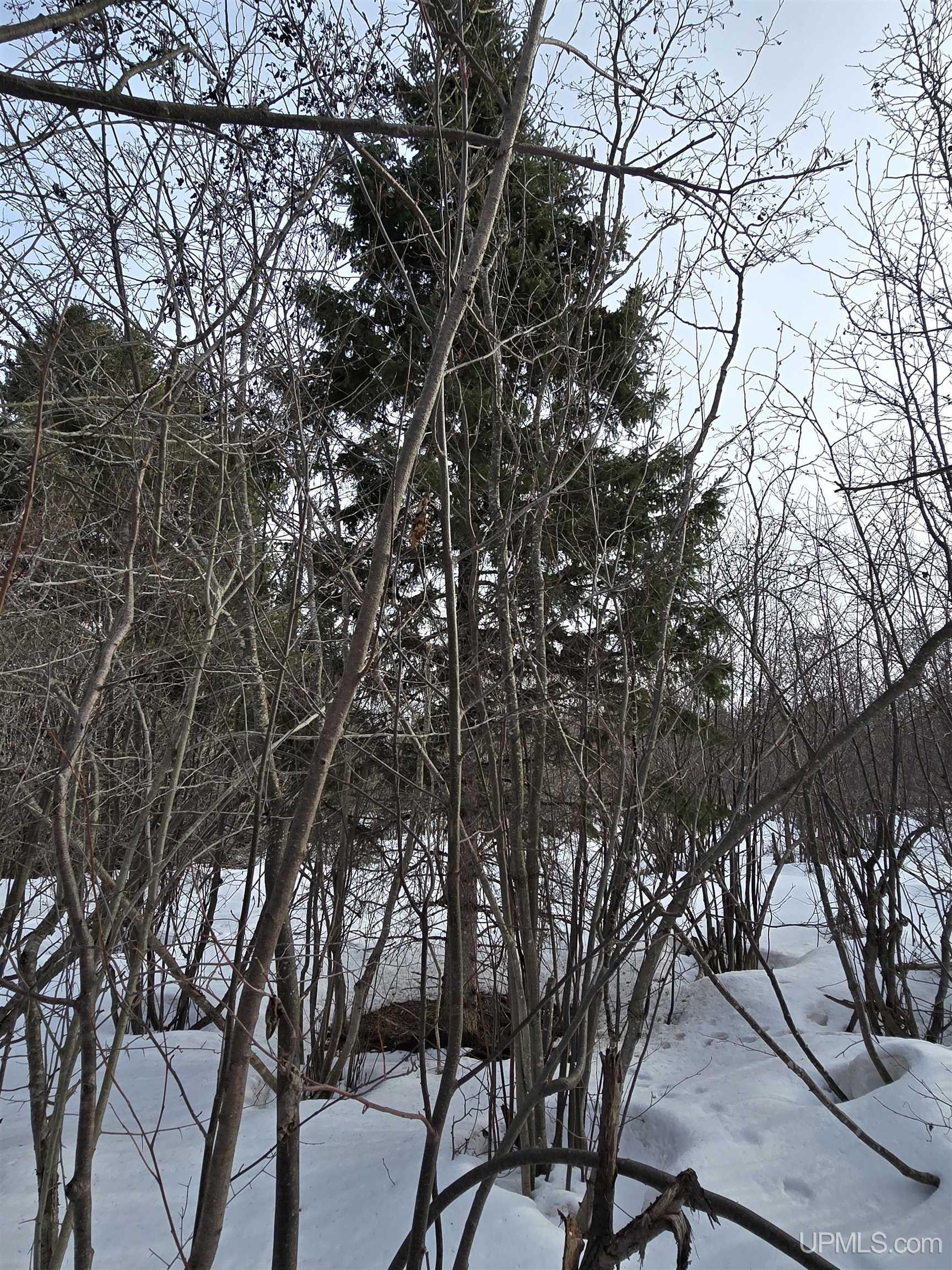 Tbd M 38 Highway Property Photo 22