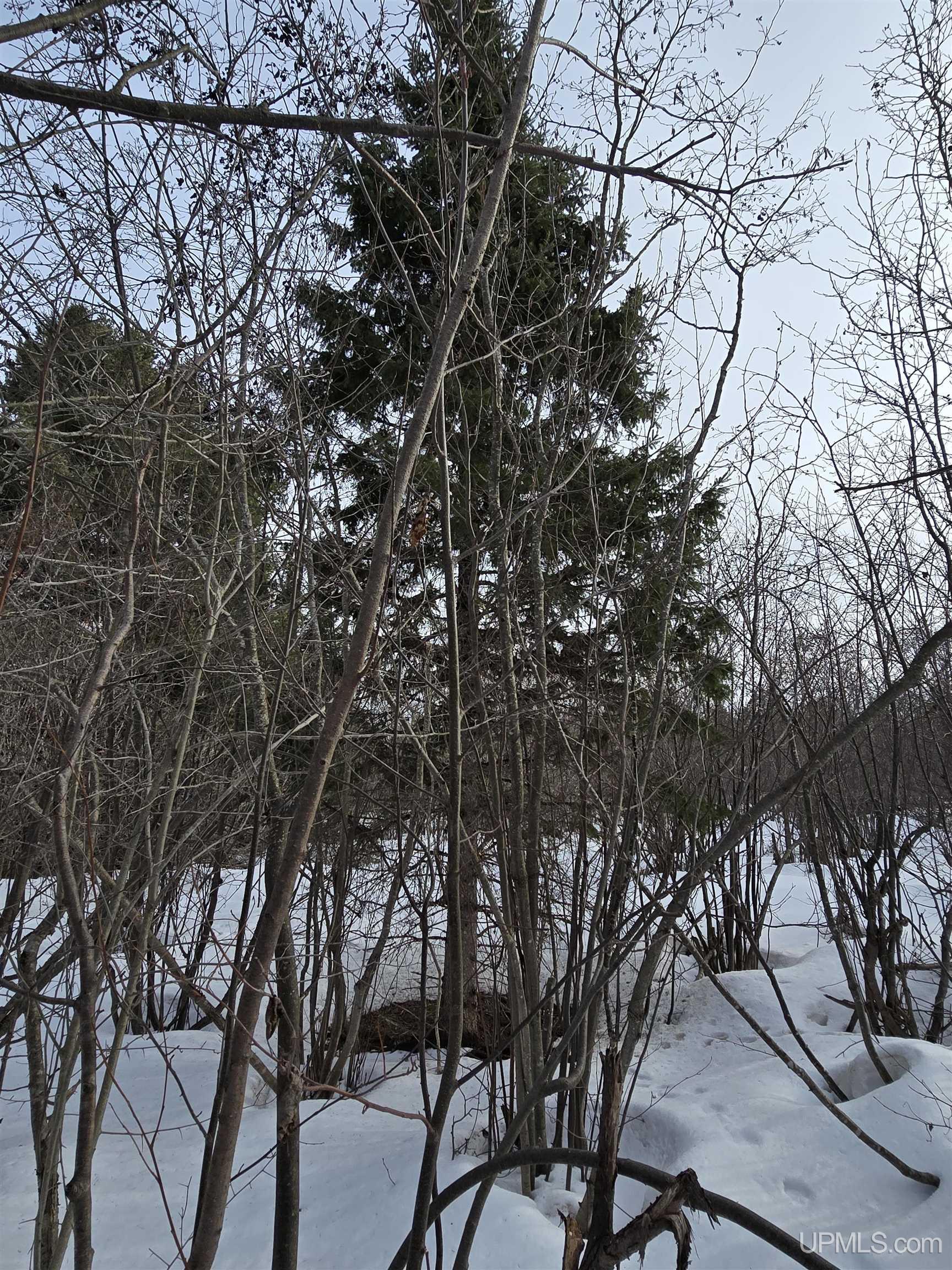Tbd M 38 Highway Property Photo 23