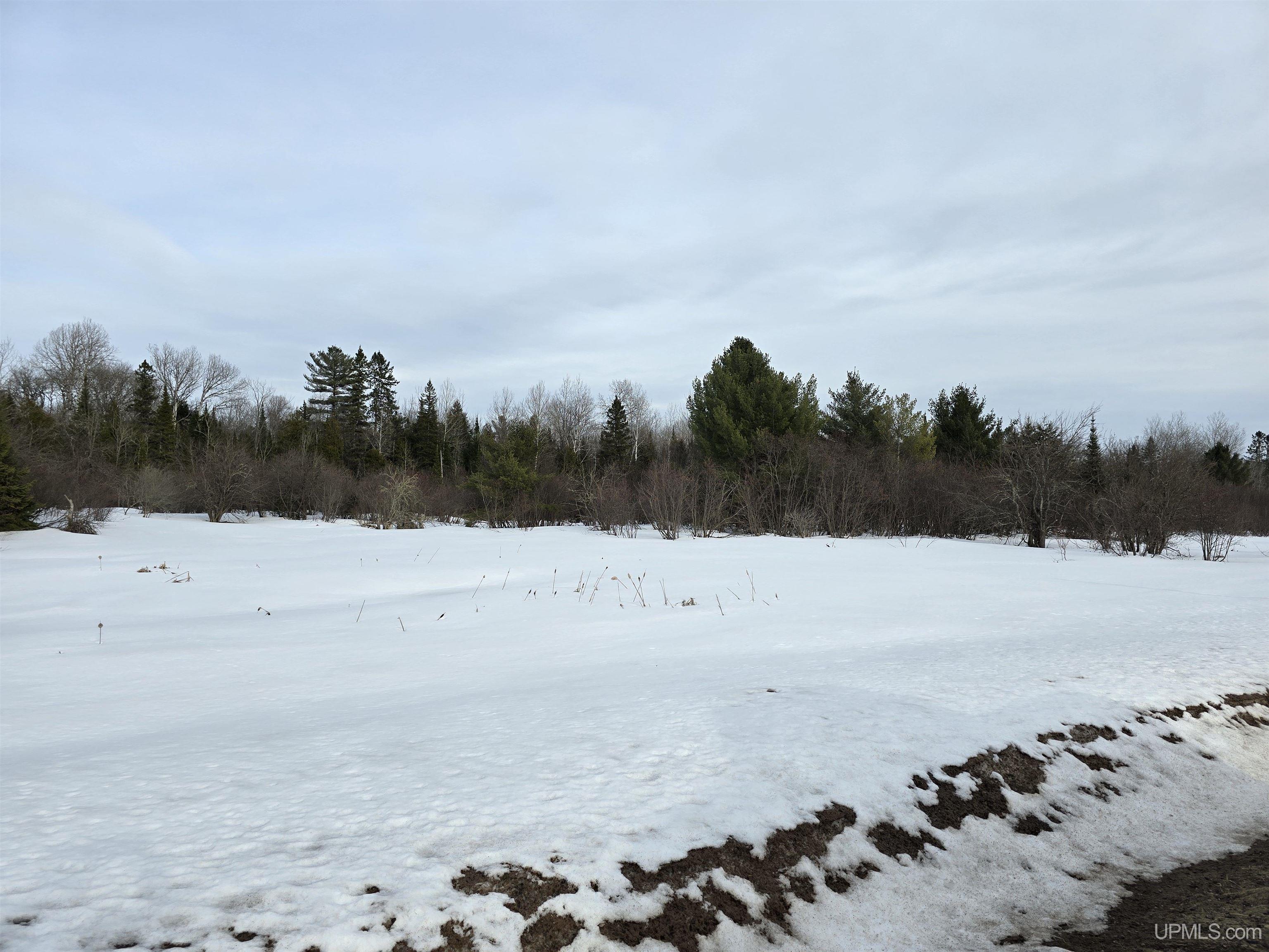 Tbd M 38 Highway Property Photo 27