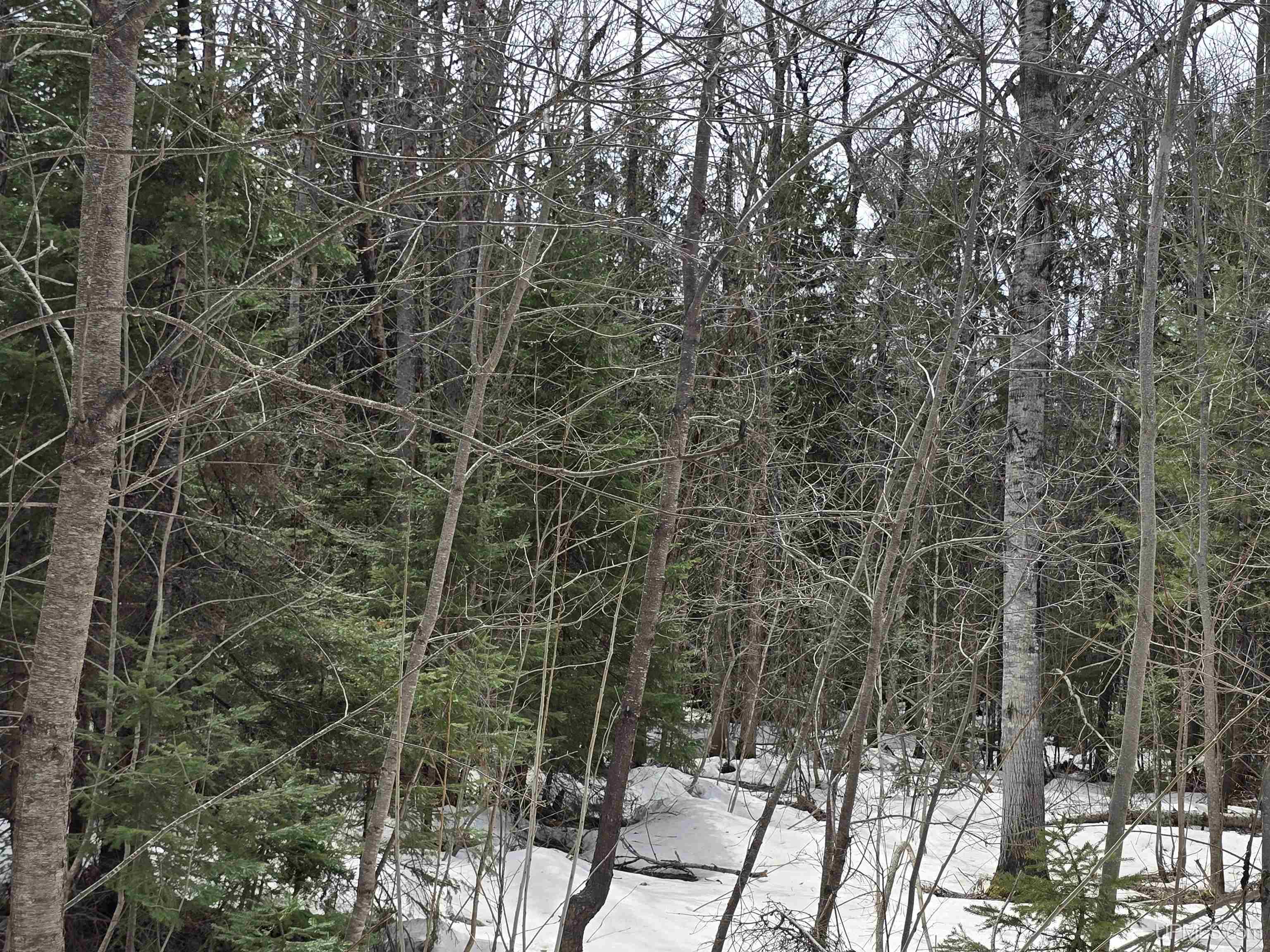 Tbd M 38 Highway Property Photo 28