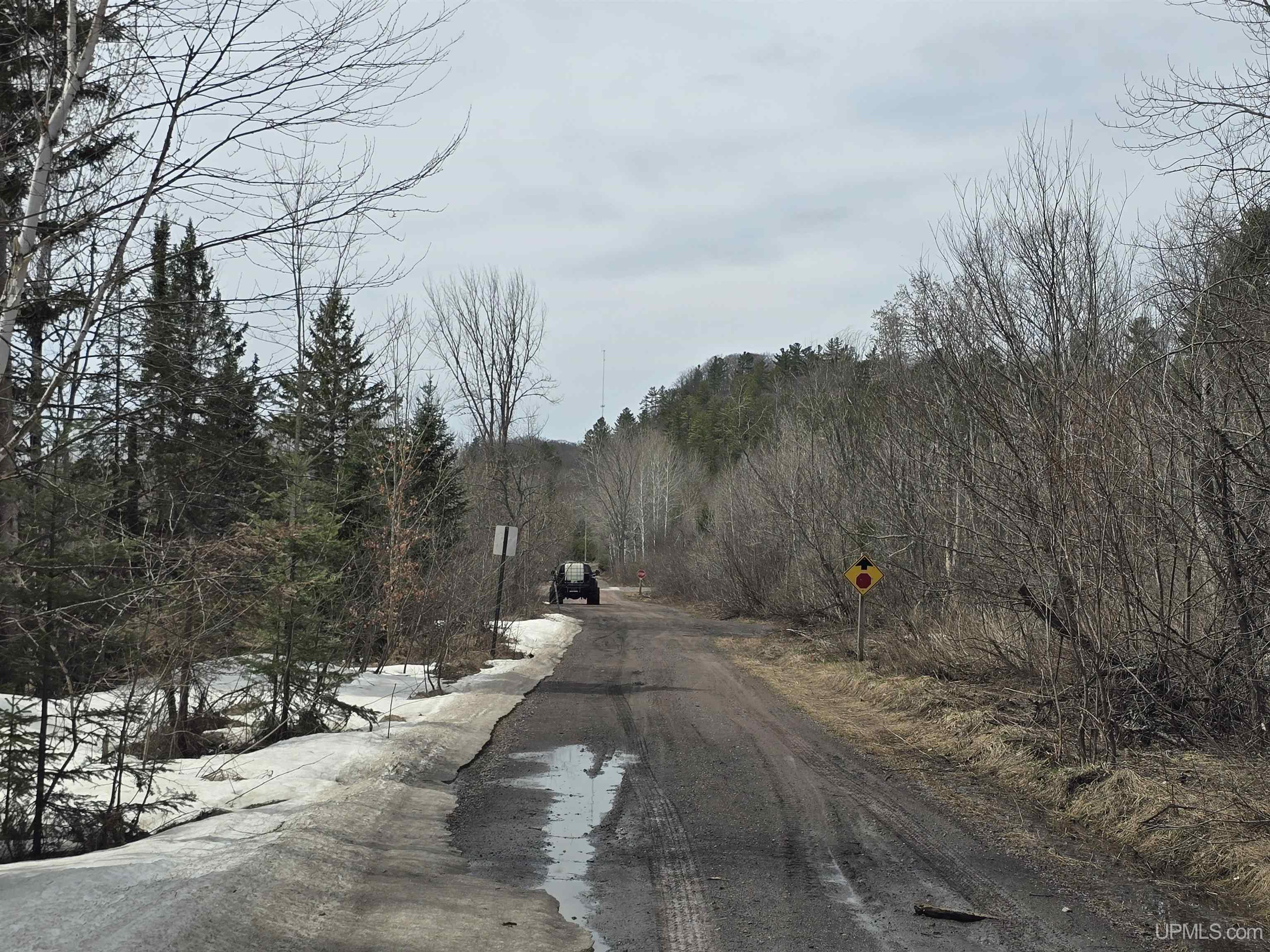 Tbd M 38 Highway Property Photo 30