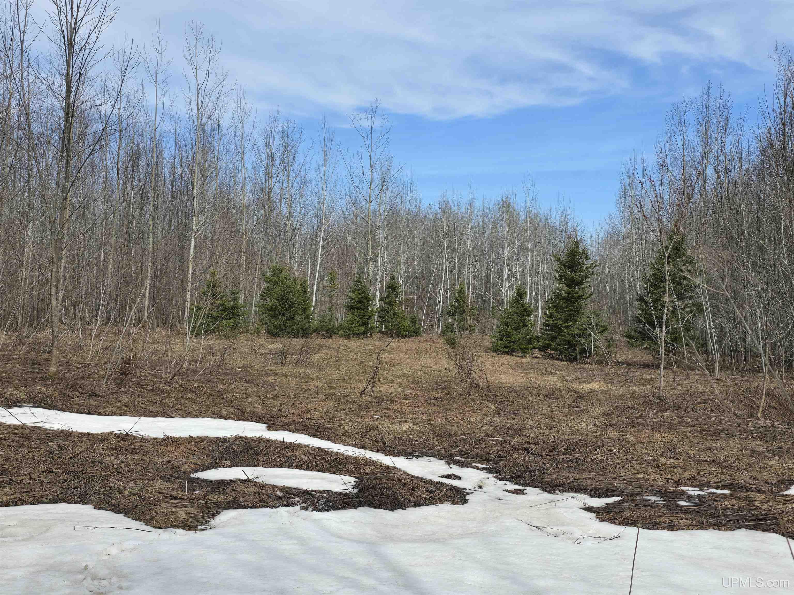 Tbd Woodspur Road Property Photo 1